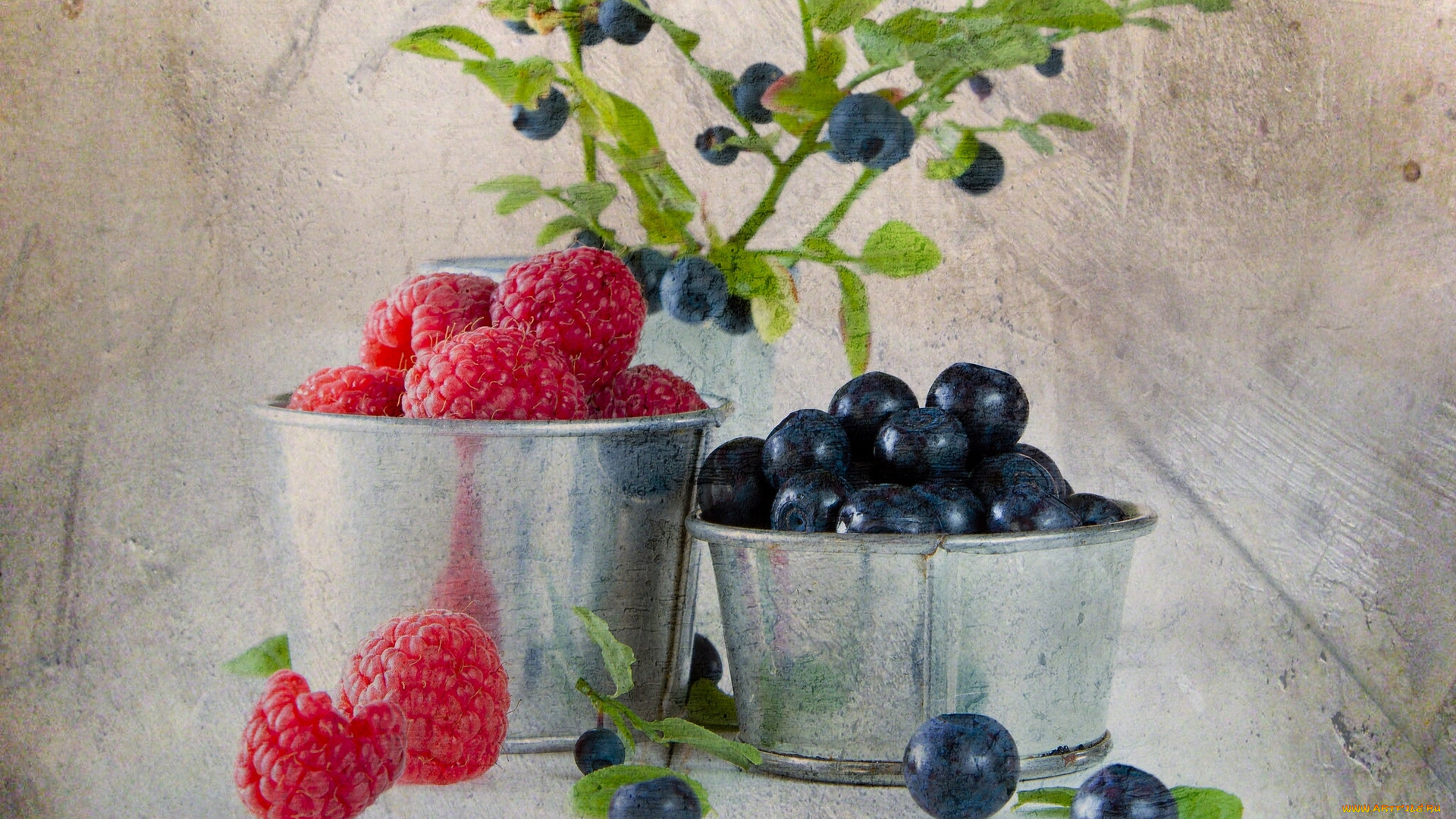 еда, фрукты, ягоды, малина, текстура, черника