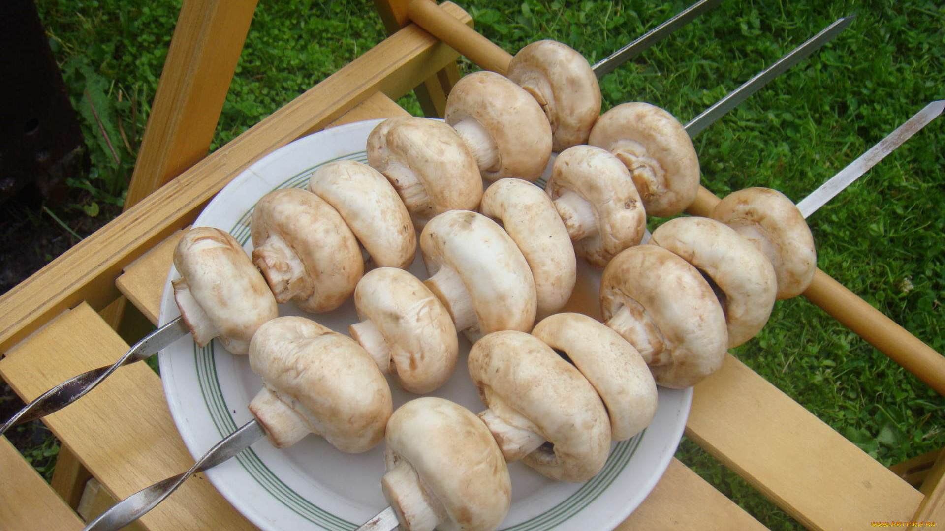 еда, грибы, грибные, блюда, шампиньоны, шомпура