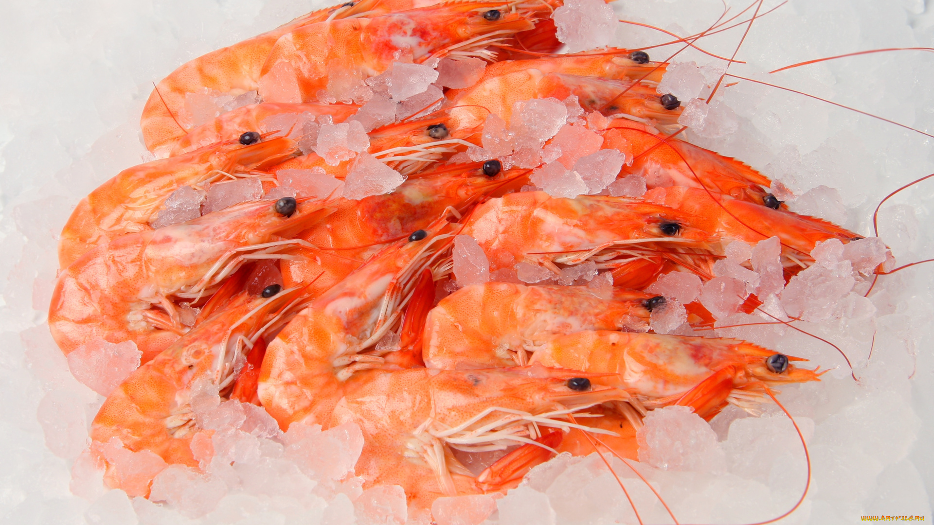 еда, рыба, морепродукты, суши, роллы, лёд, креветки