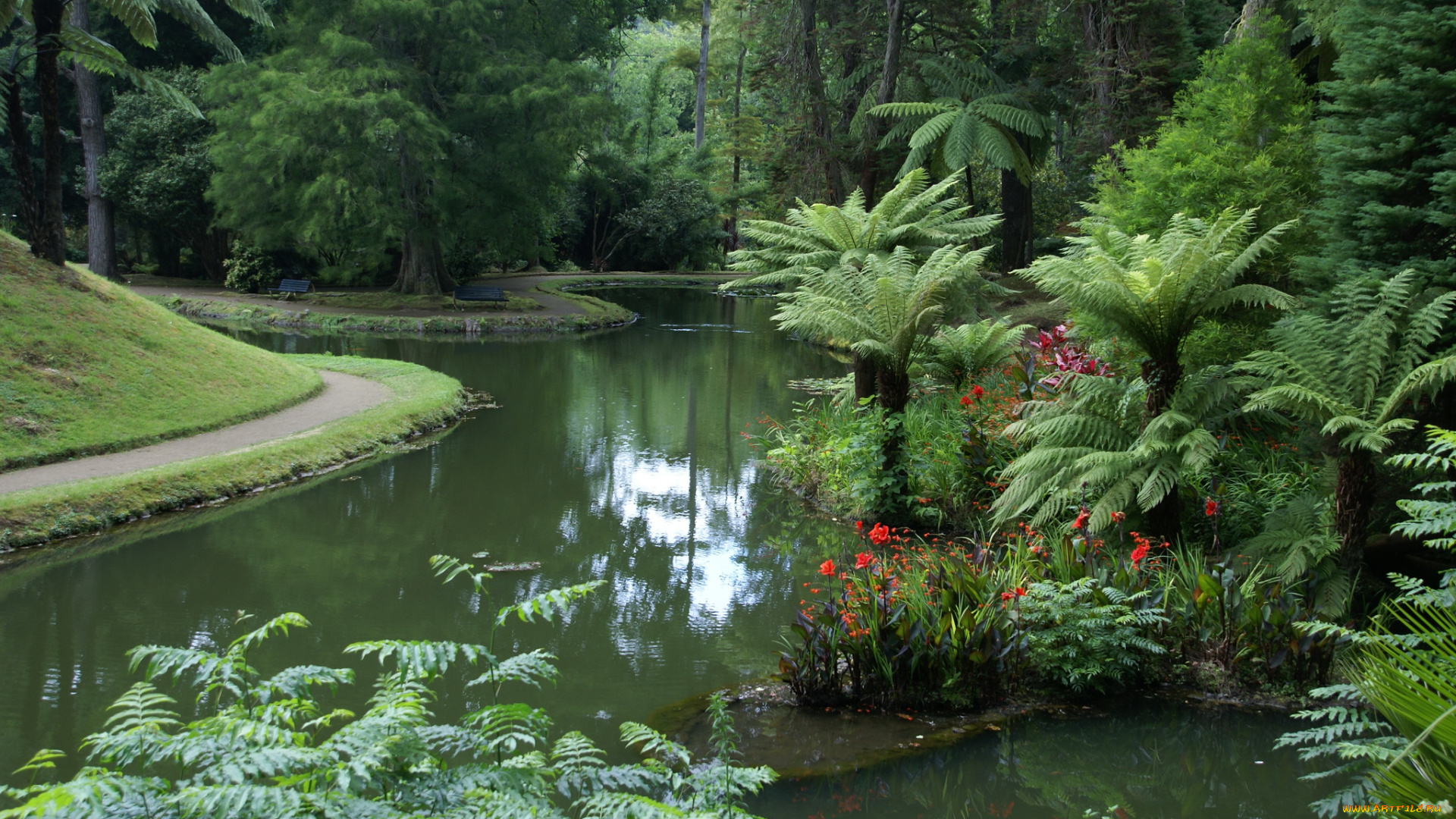parque, terra, nostra, furnas, португалия, природа, парк, растения, водоем