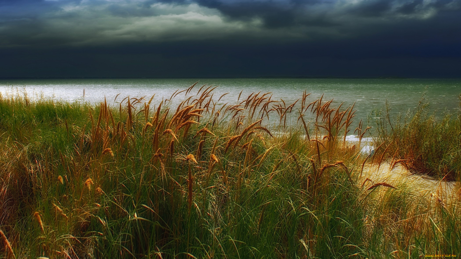 природа, побережье, горизонт, трава, берег, тучи, океан, сумрак