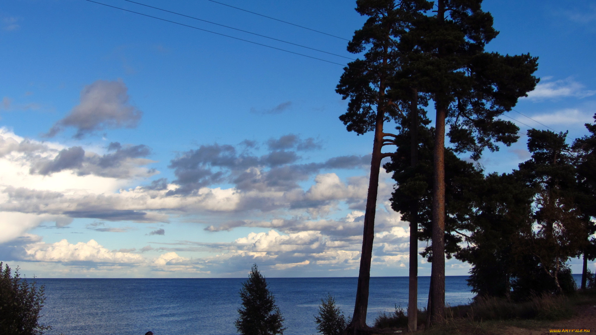 россия, ладожское, озеро, природа, реки, озера, сумерки, деревья