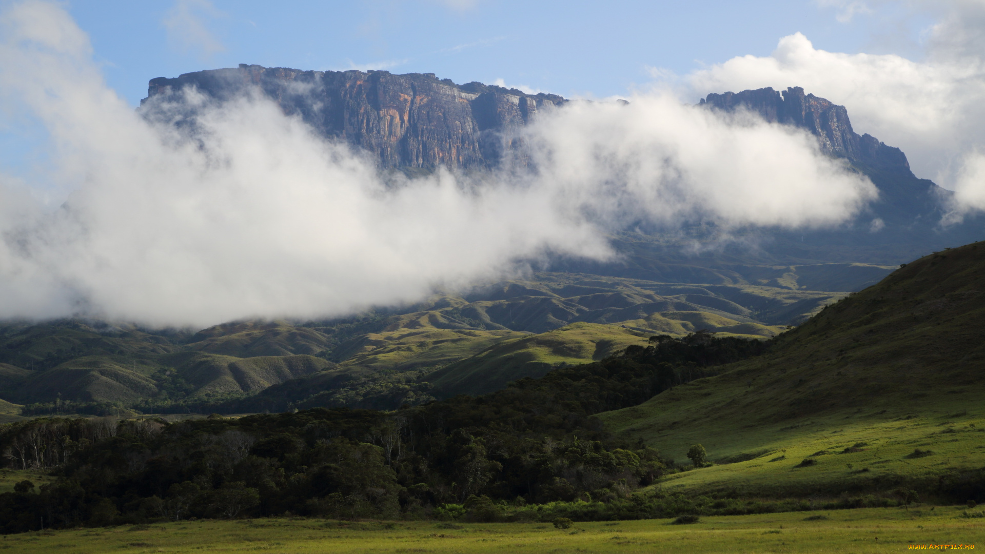 венесуэла, природа, горы, лес, дымка