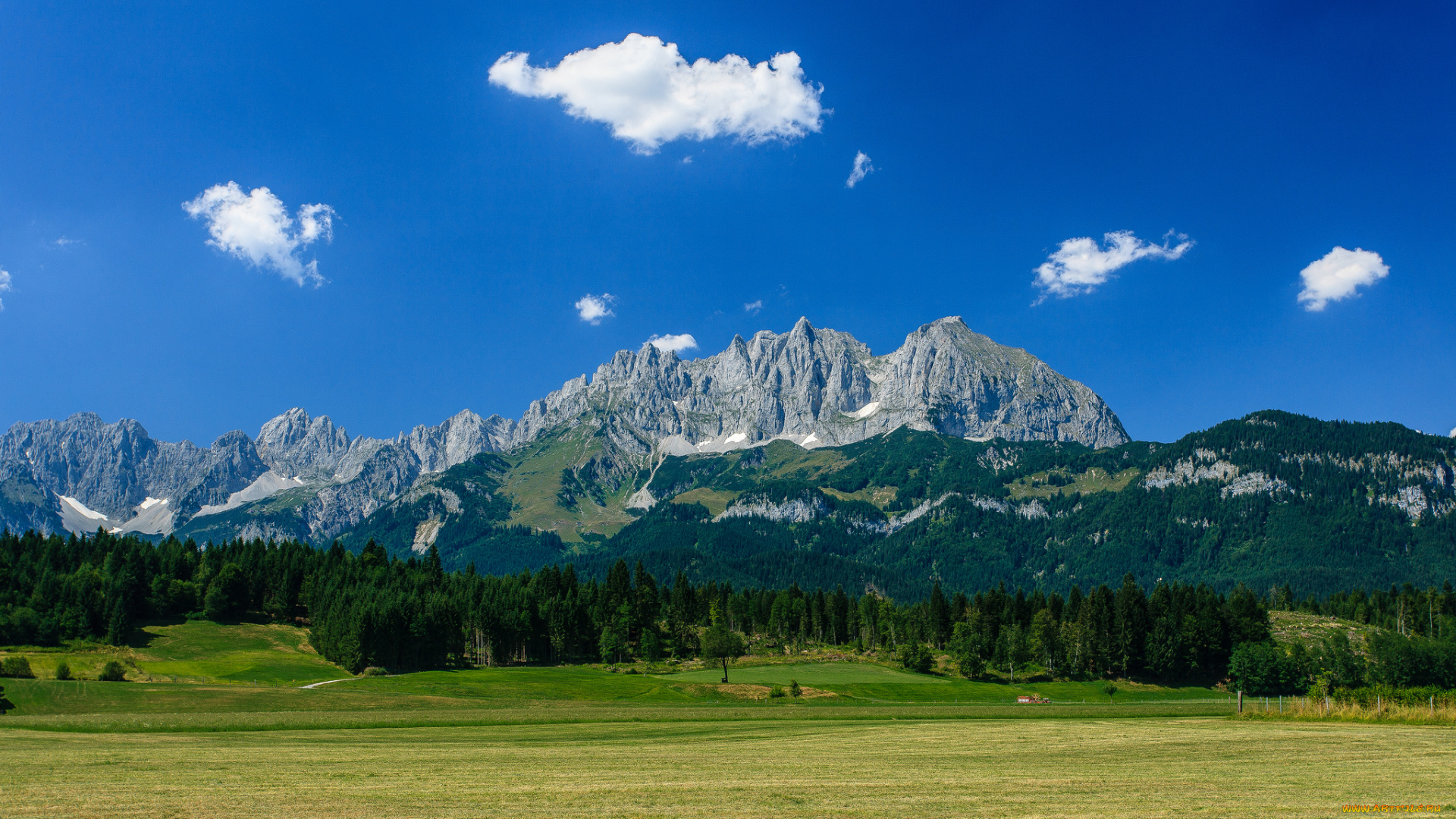 wilder, kaiser, austria, природа, горы, гора, вильдер, кайзер, alps, лес, луг, альпы, австрия