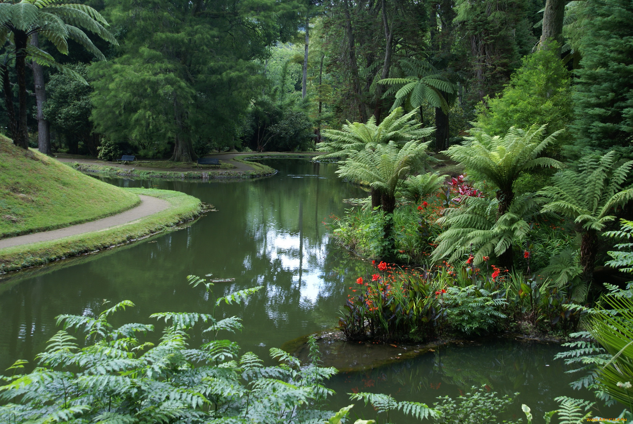 parque, terra, nostra, furnas, португалия, природа, парк, растения, водоем