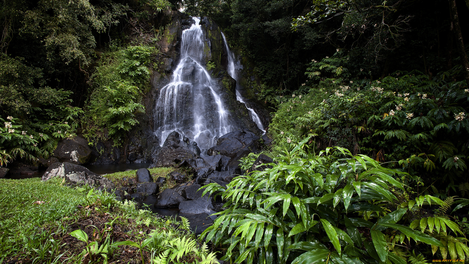 природа, водопады, водопад, река, лес