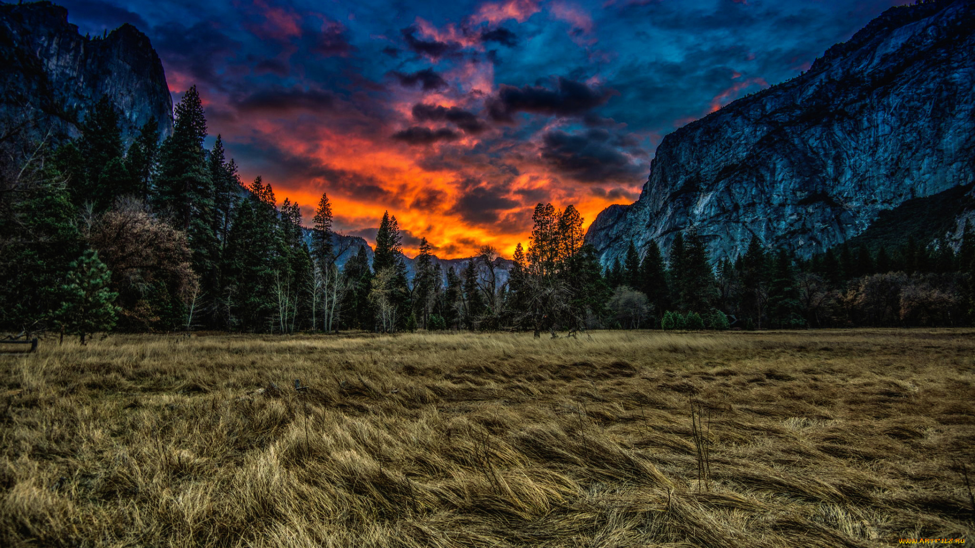природа, восходы, закаты, трава, луг, облака, закат, национальный, парк, йосемити, горы, деревья, калифорния, сша, usa, yosemite, national, park