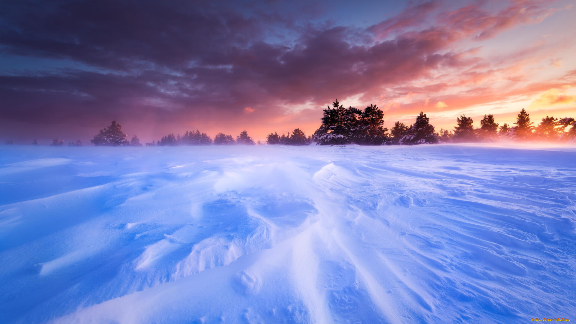 природа, зима, пейзаж, метель, небо, закат, снег, равнина, франция, прованс, плато, деревья