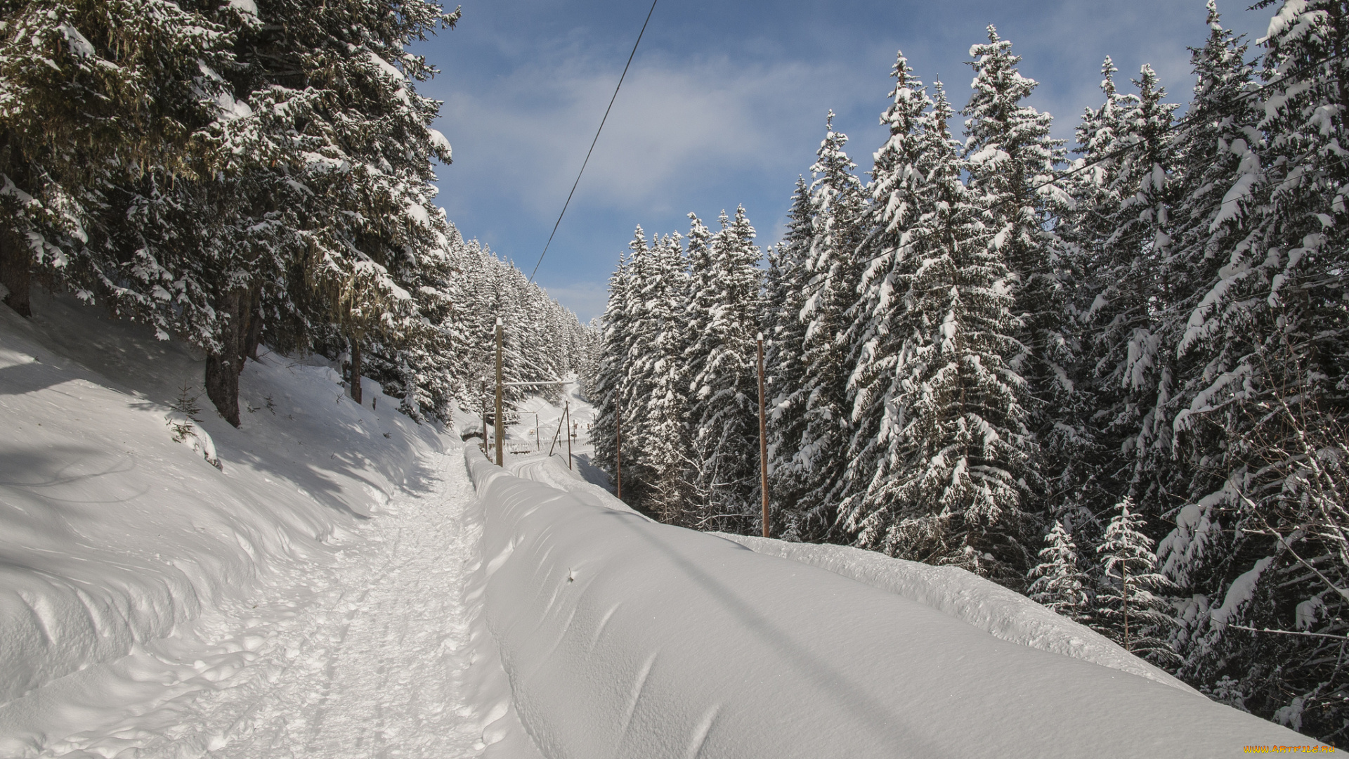 природа, зима, тропа, снег, ели