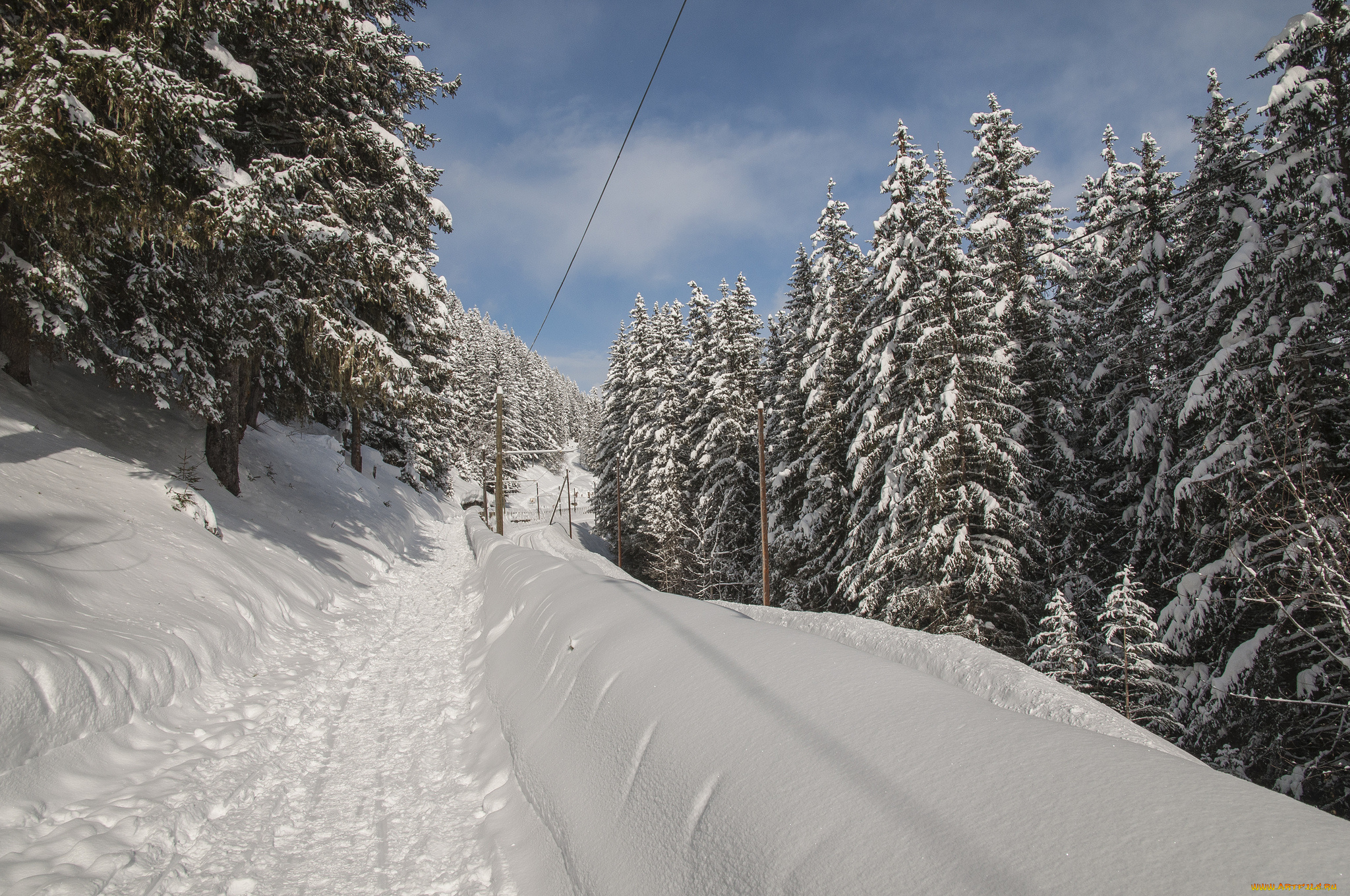 природа, зима, тропа, снег, ели