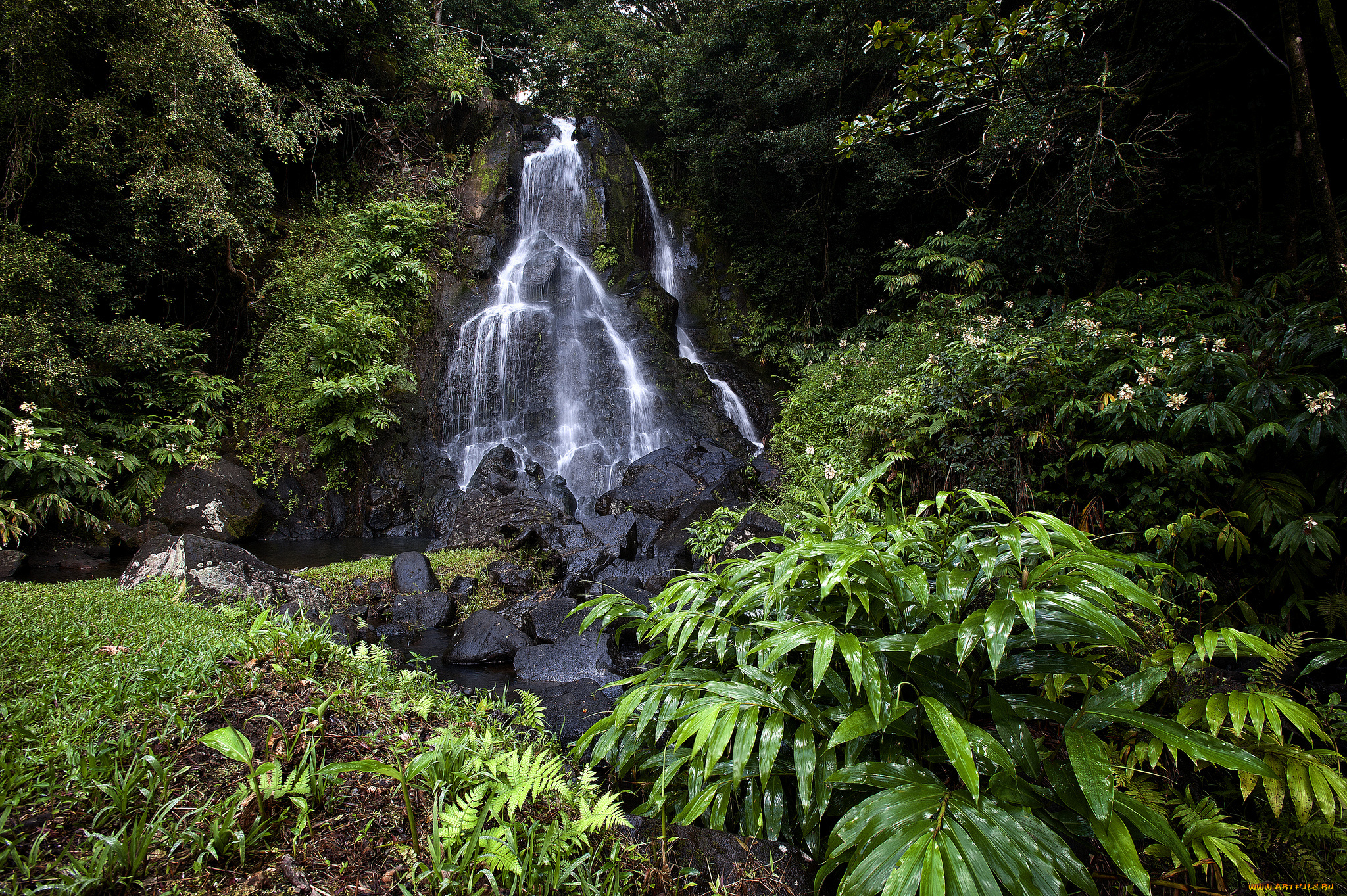 природа, водопады, водопад, река, лес