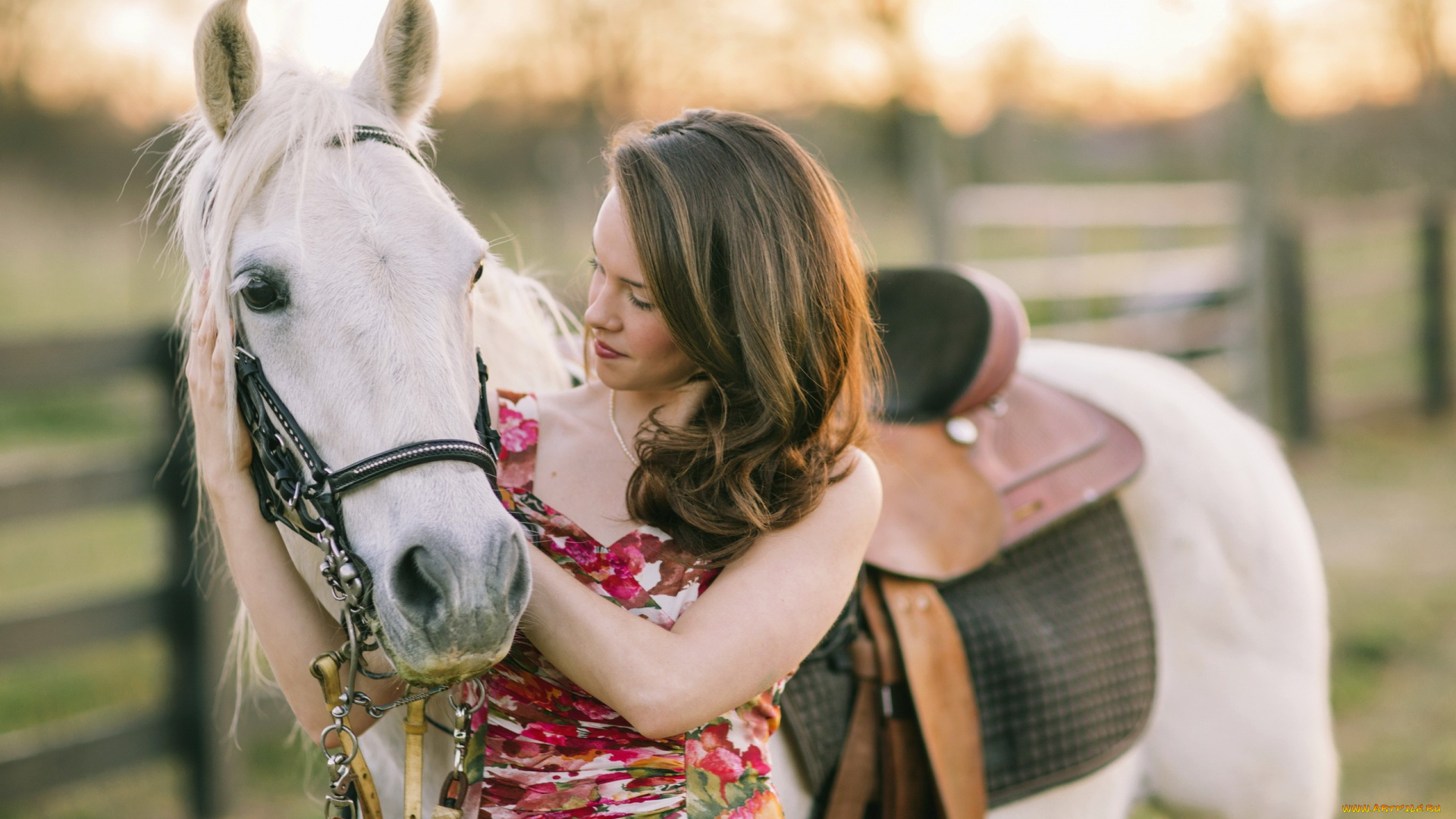 девушки, -unsort, , брюнетки, , шатенки, настроение, конь, девушка