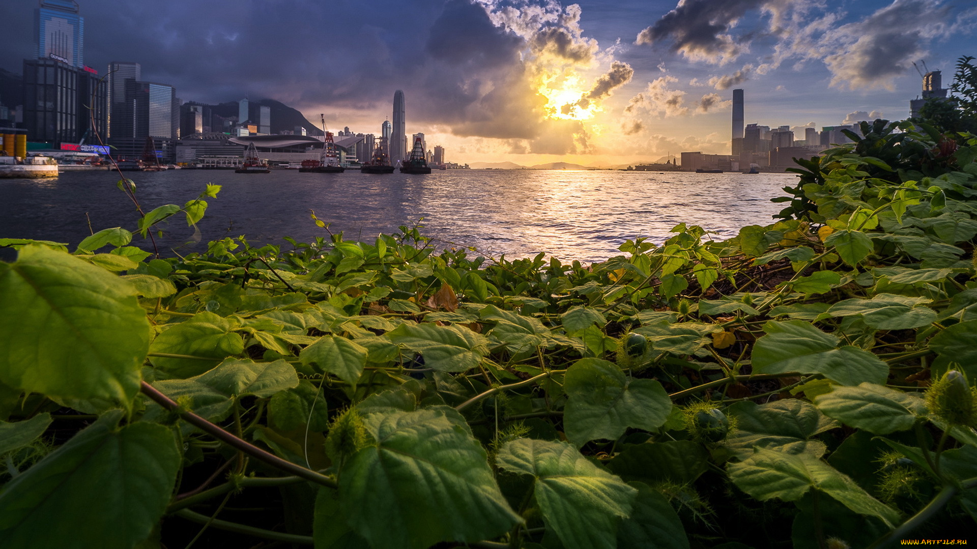 города, -, пейзажи, город, река, закат