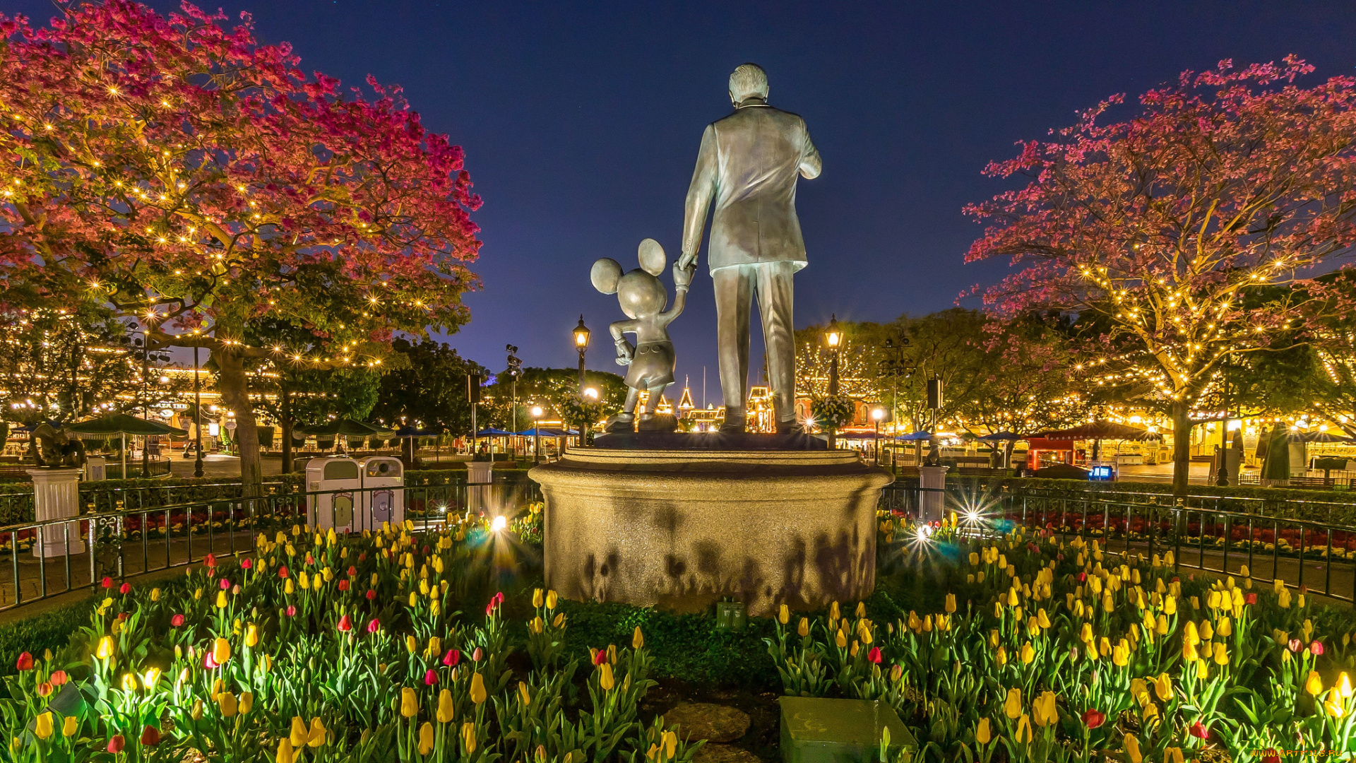 города, диснейленд, парк, ночь