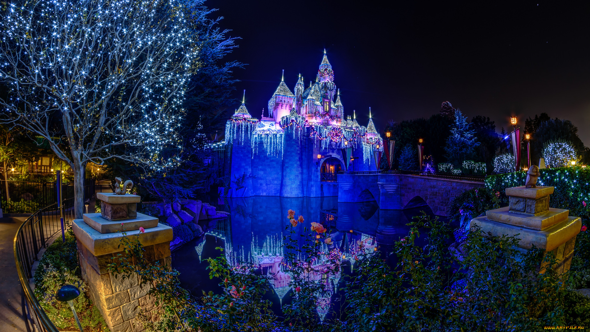 города, диснейленд, замок, парк, ночь
