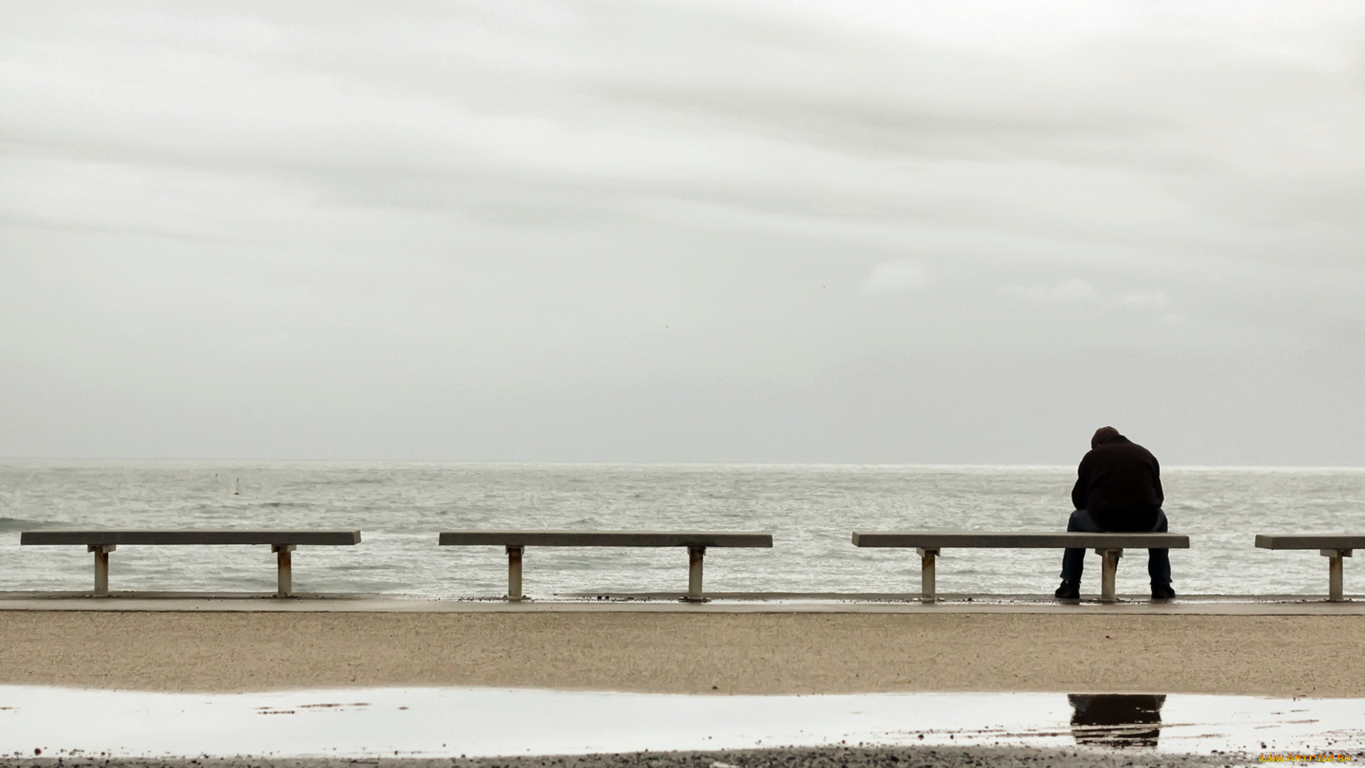 мужчины, -, unsort, скамейки, лавки, море, осень, берег, печаль, мужчина, лужа