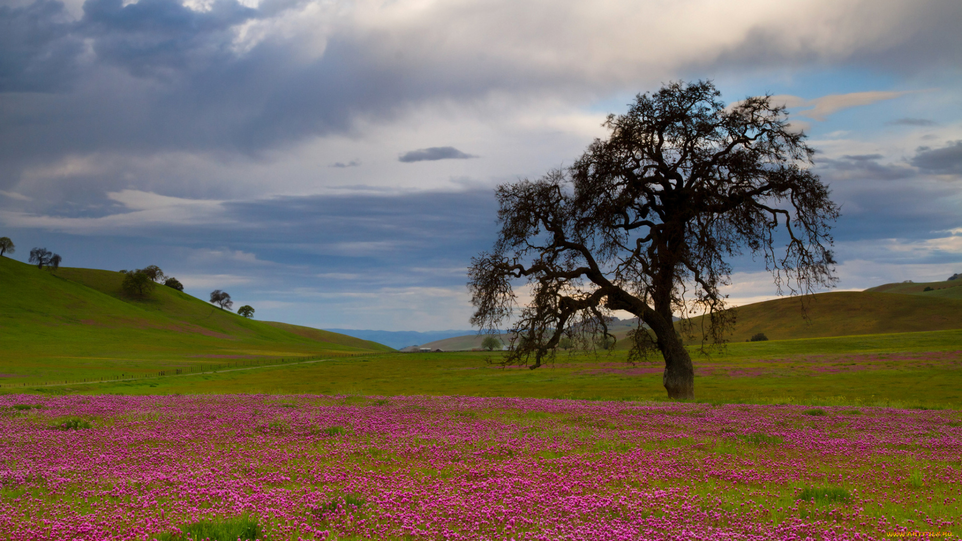 природа, деревья, небо, облака, горы, холмы, трава, цветы