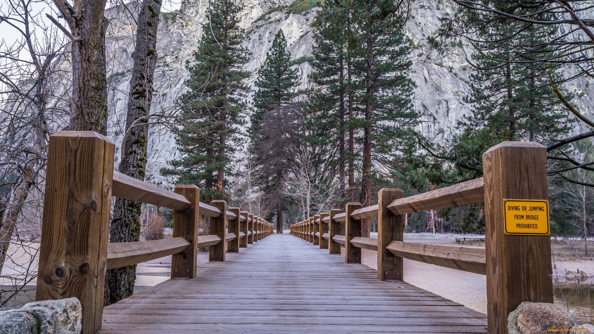 природа, дороги, деревья, мостик