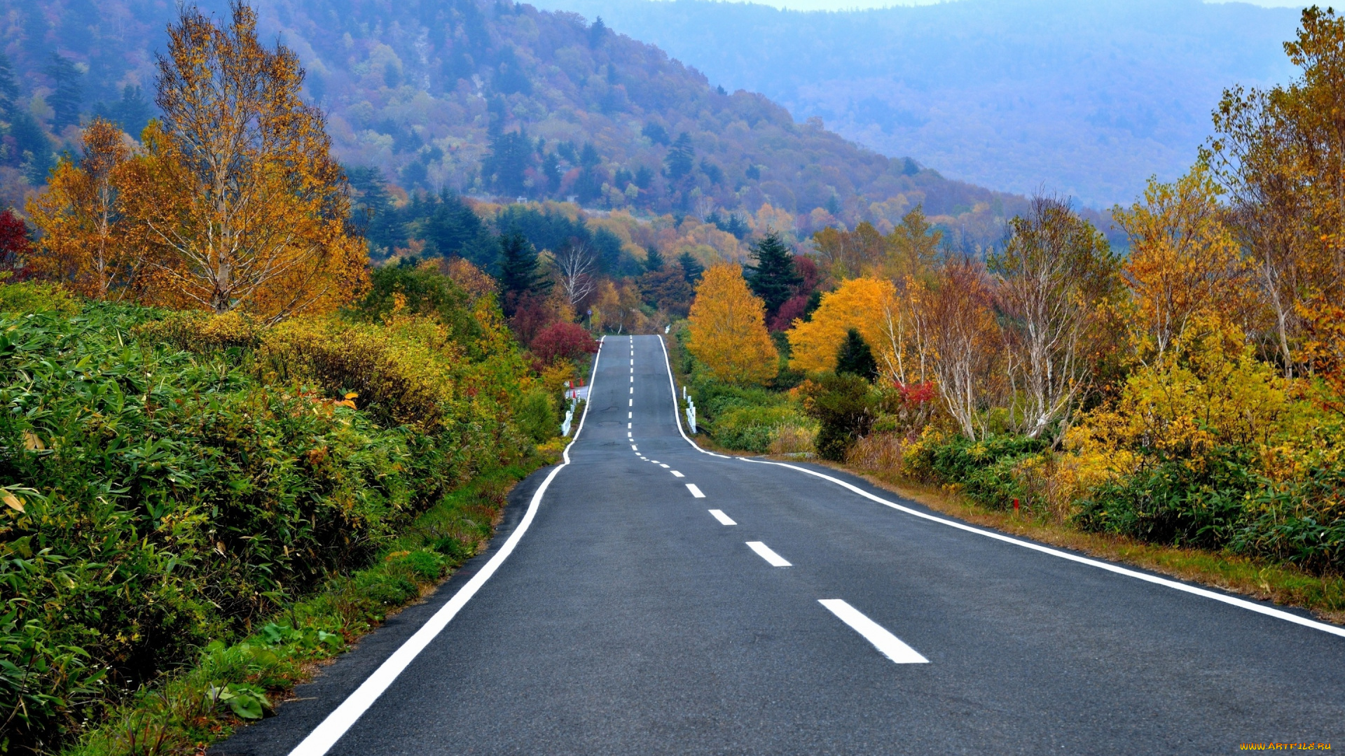 природа, дороги, лес, деревья, горы, шоссе, дорога, осень