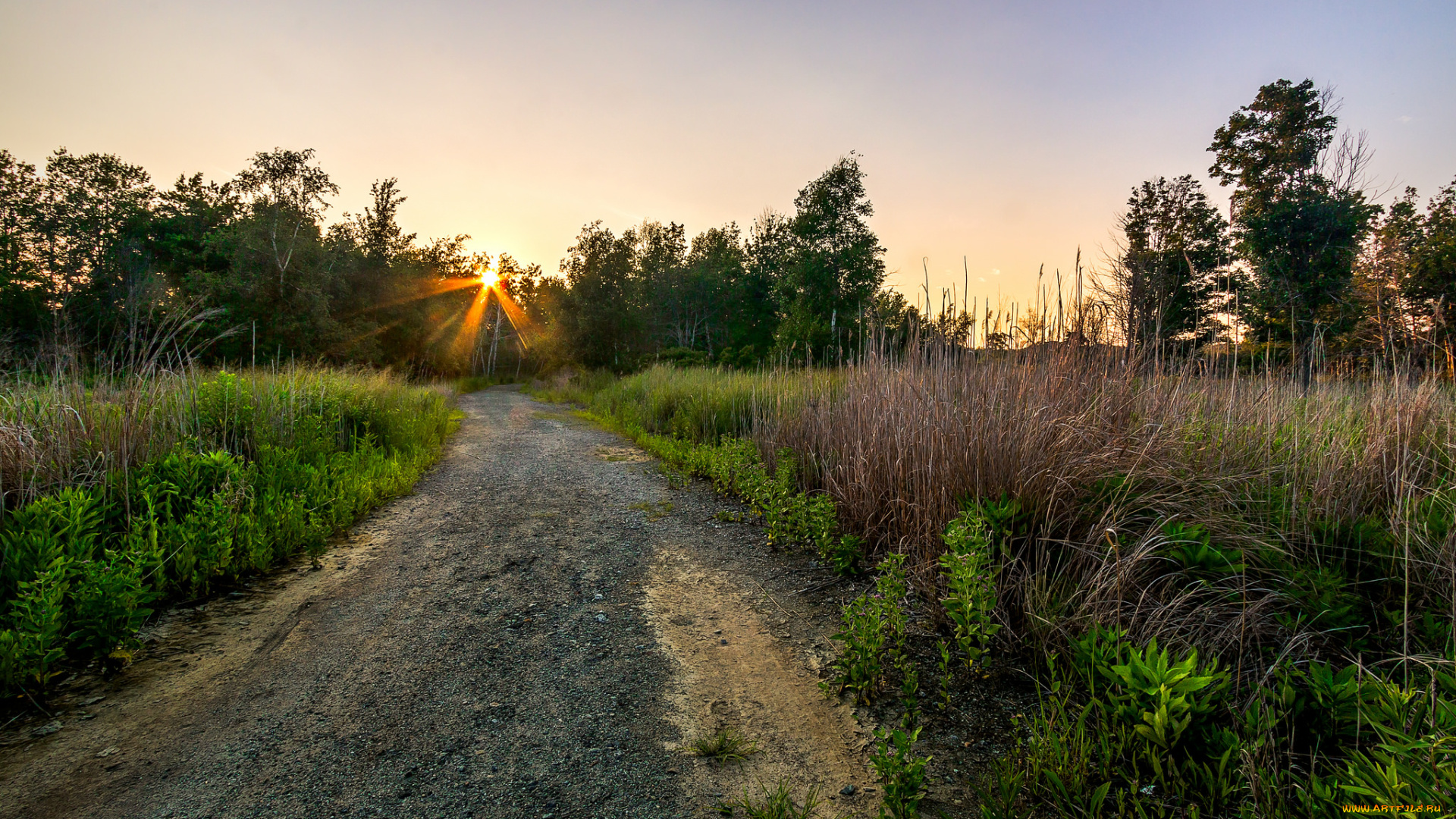 природа, дороги, рассвет