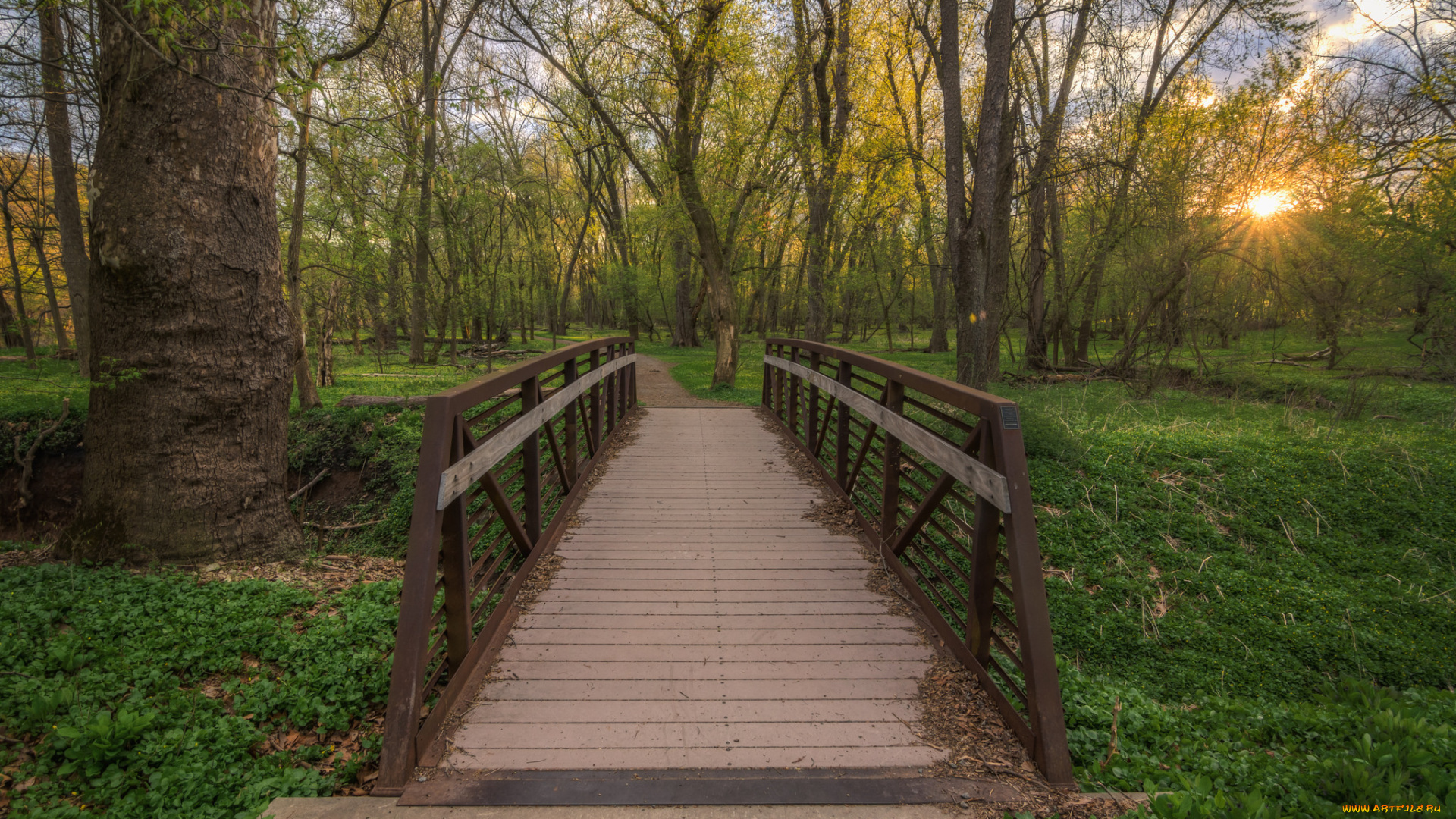 природа, дороги, тропинка, мостик