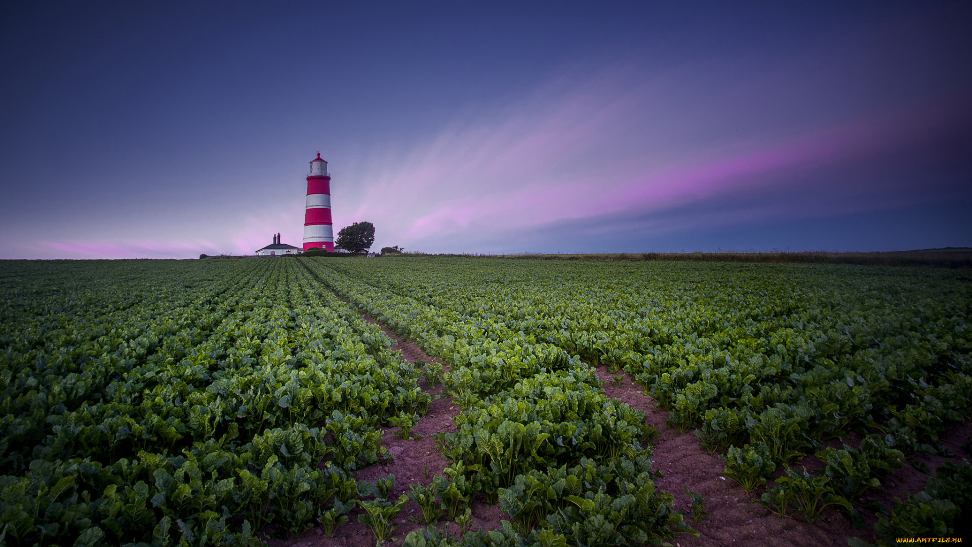 природа, маяки, маяк, поле