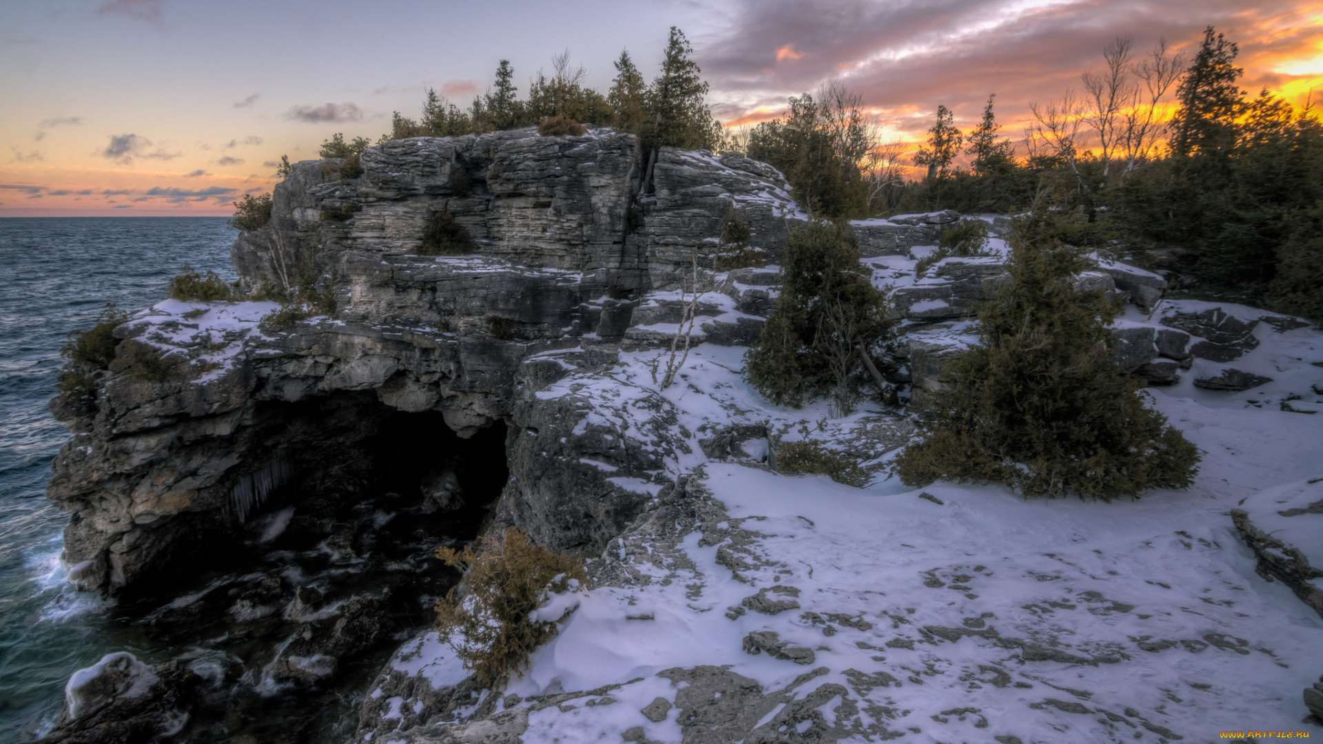 природа, побережье, деревья, скалы, снег, море