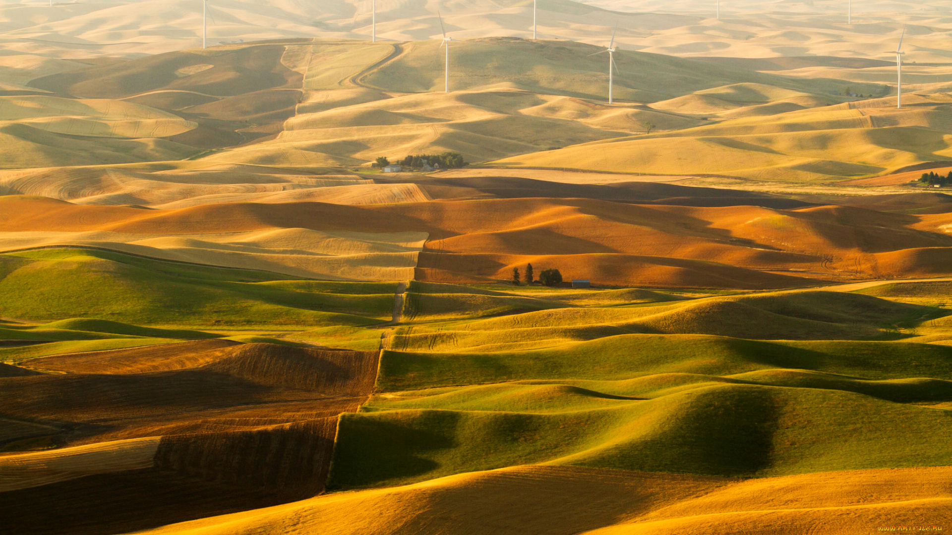 природа, поля, рассвет, утро, ветроэлектрогенератор, ветряная, мельница, деревья, холмы