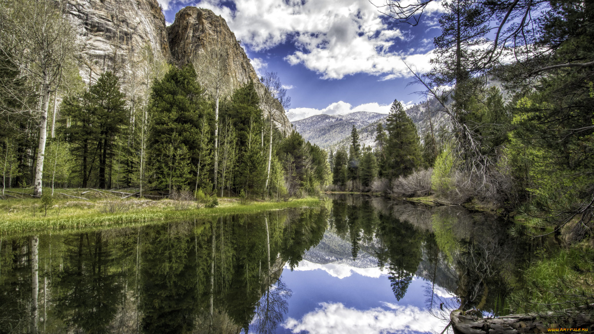 природа, реки, озера, горы, лес, река