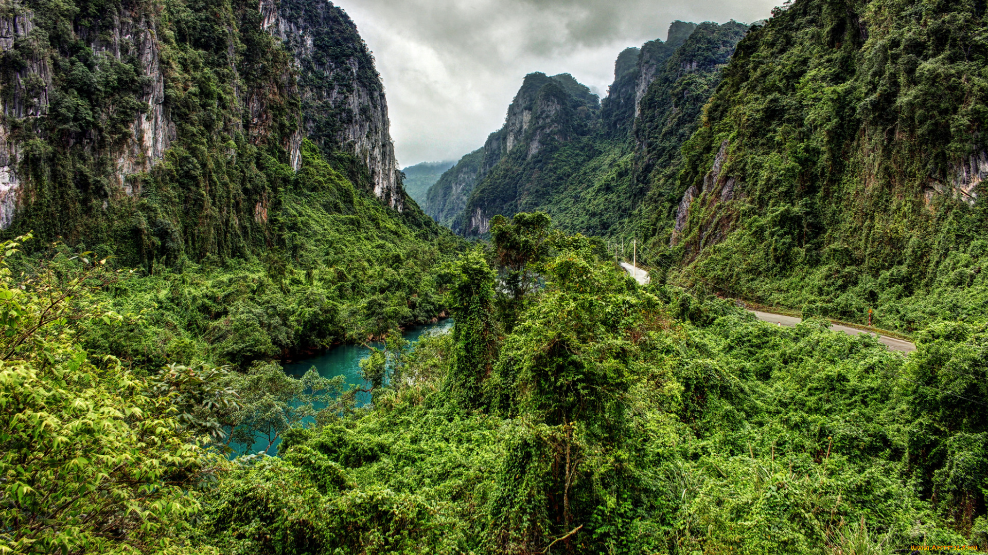 природа, реки, озера, лес, горы, река