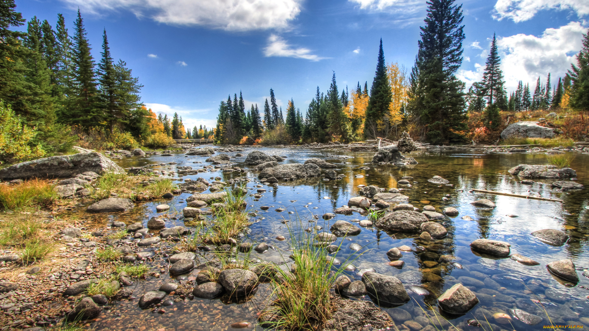 природа, реки, озера, лес, река