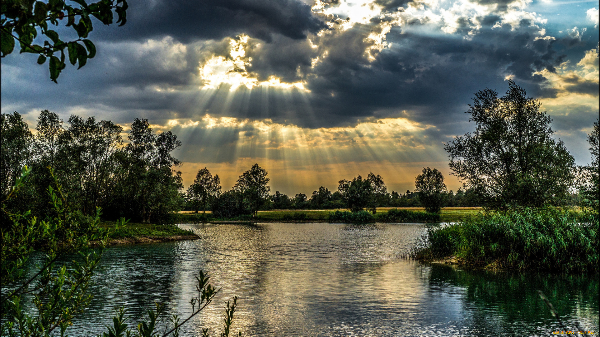 природа, реки, озера, лес, река