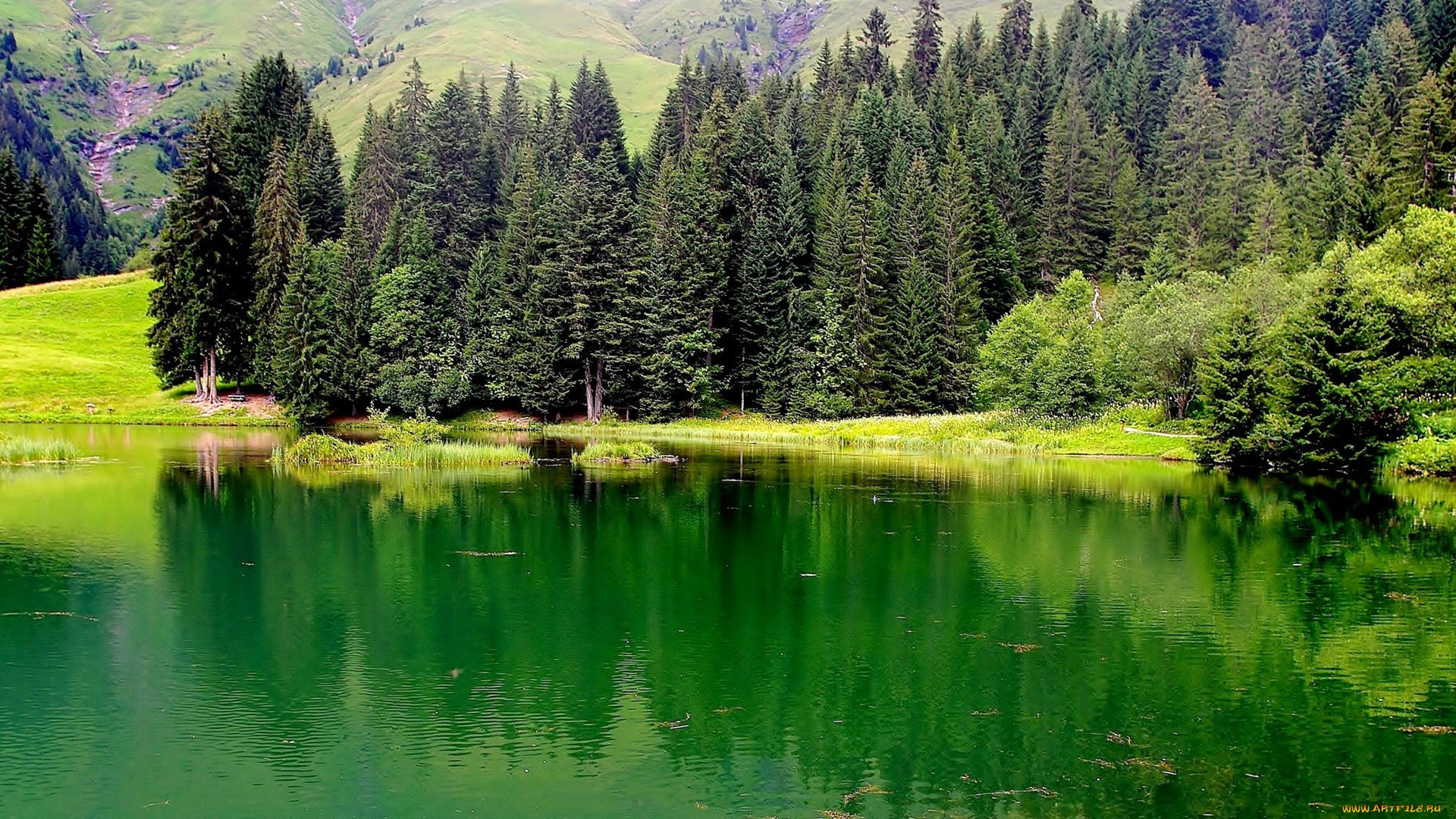 природа, реки, озера, озеро, трава, горы, деревья, верхняя, савойя, франция