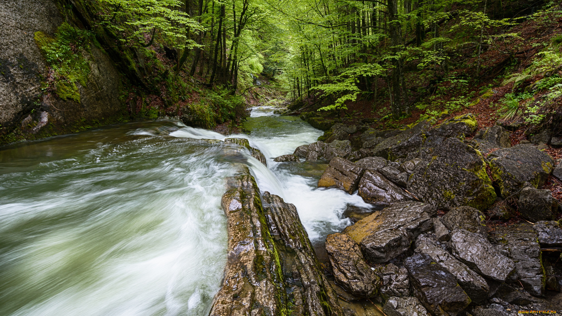 природа, реки, озера, поток, лес, камни