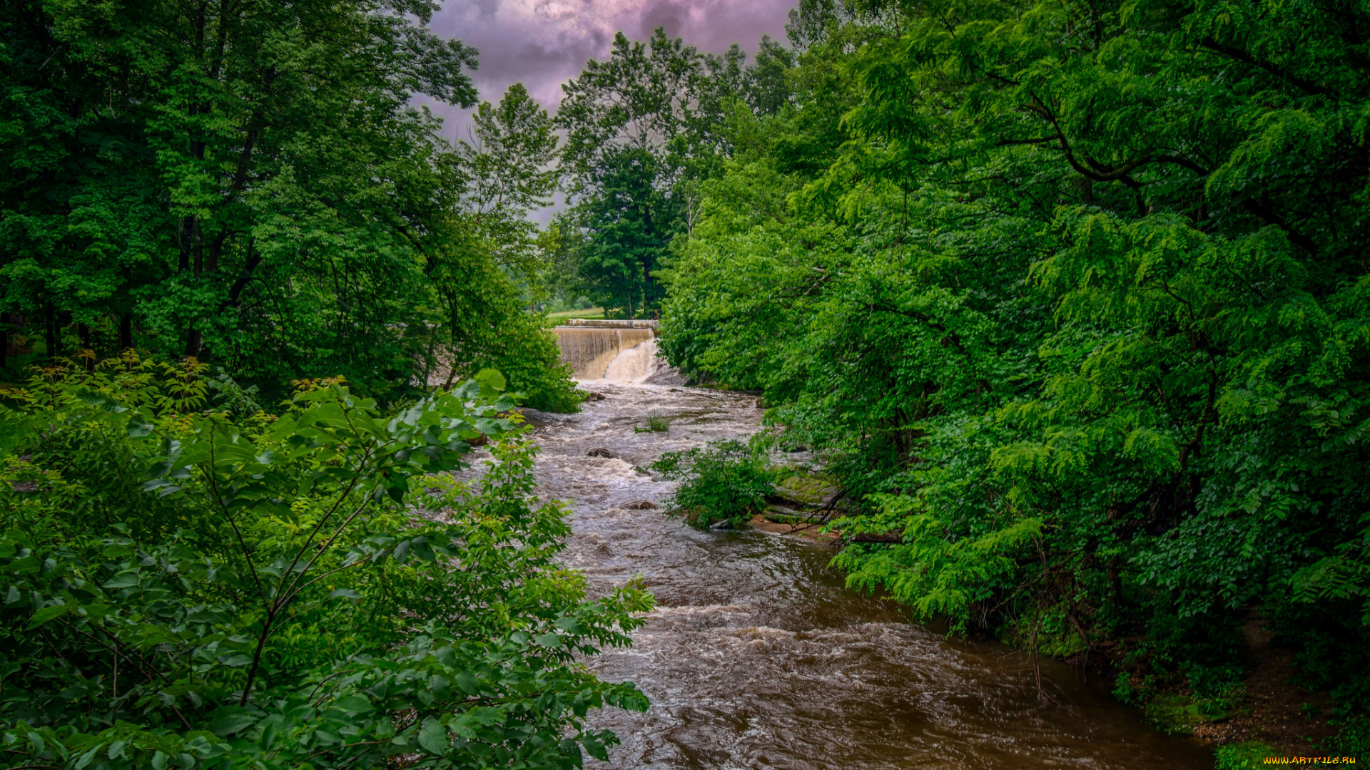 природа, реки, озера, река, лес