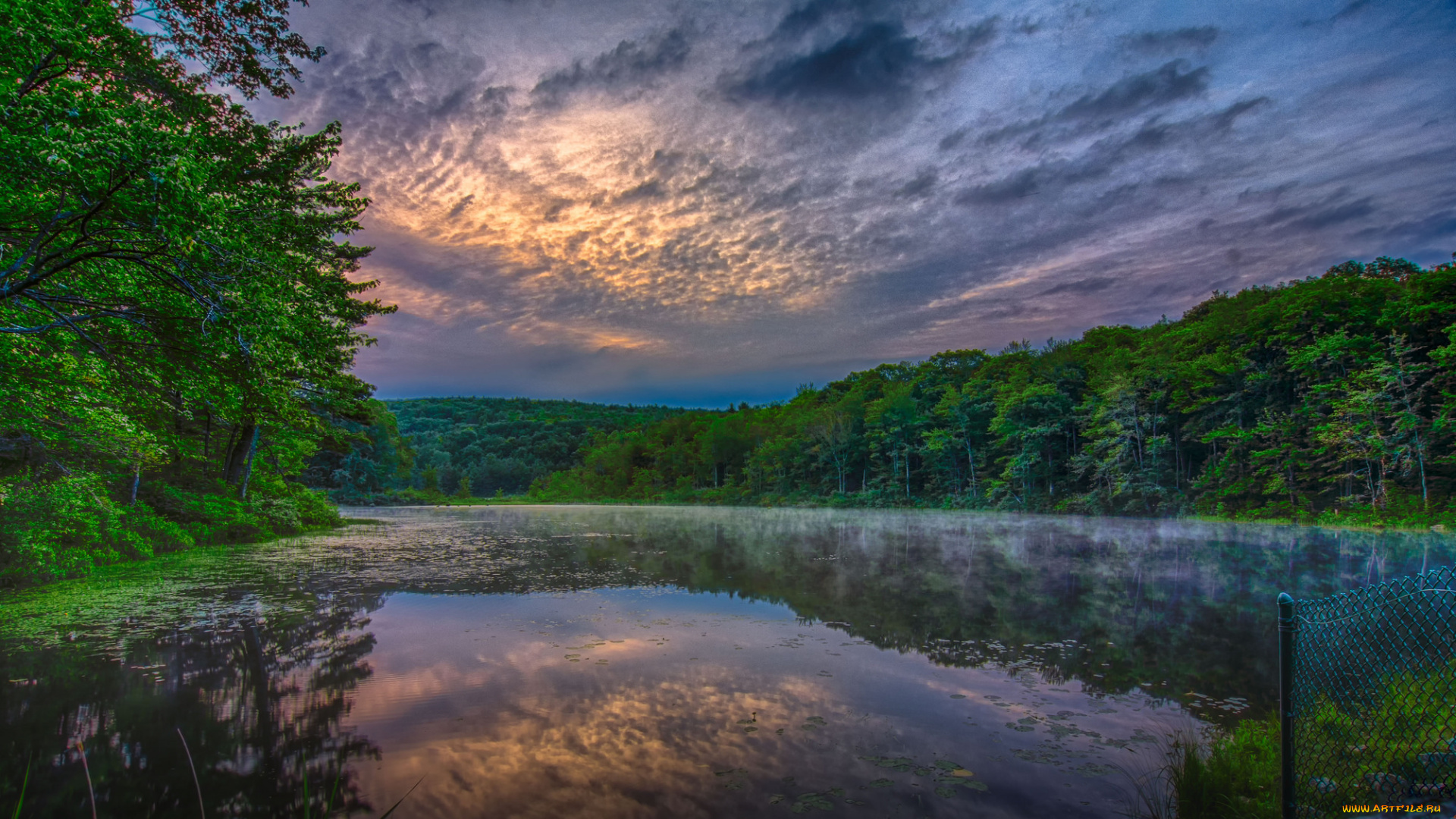 природа, реки, озера, река, лес