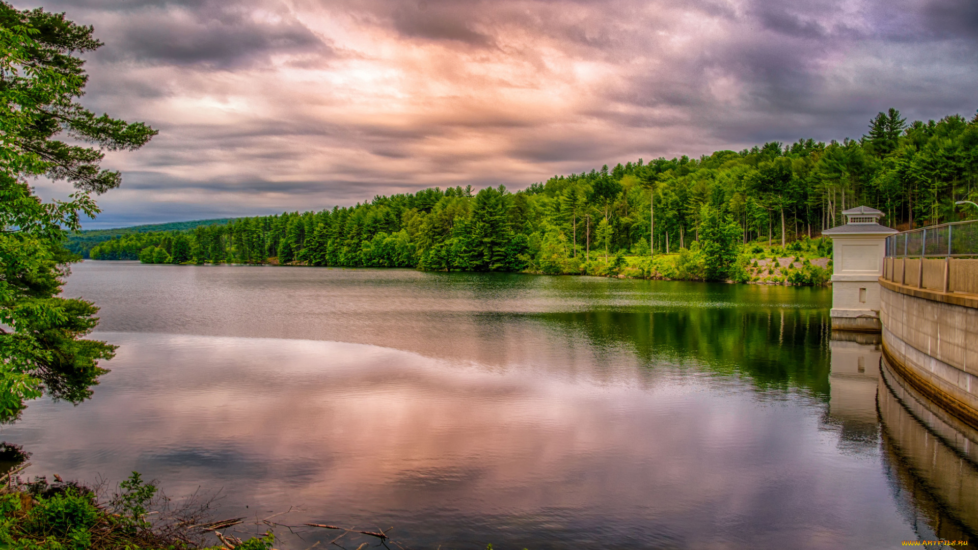 природа, реки, озера, река, лес