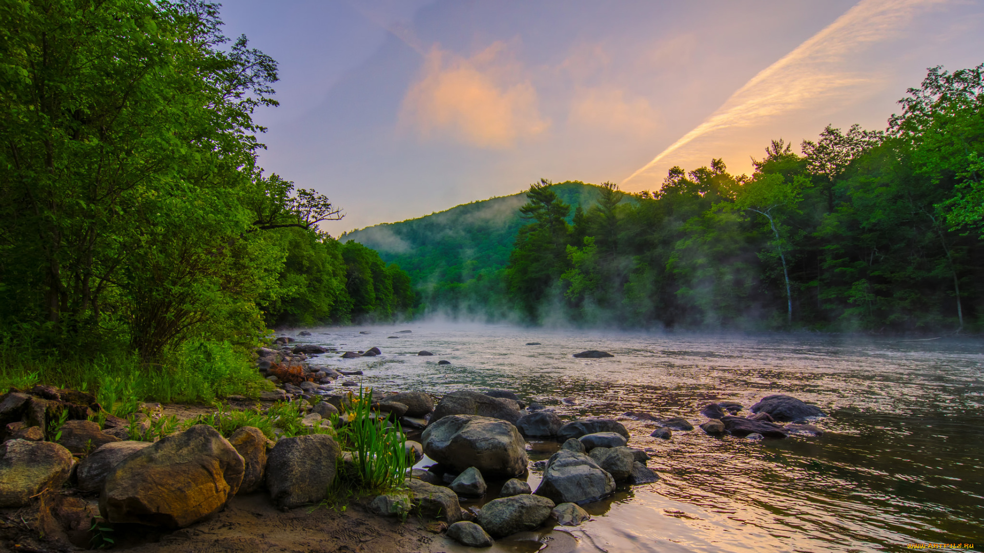 природа, реки, озера, река, лес