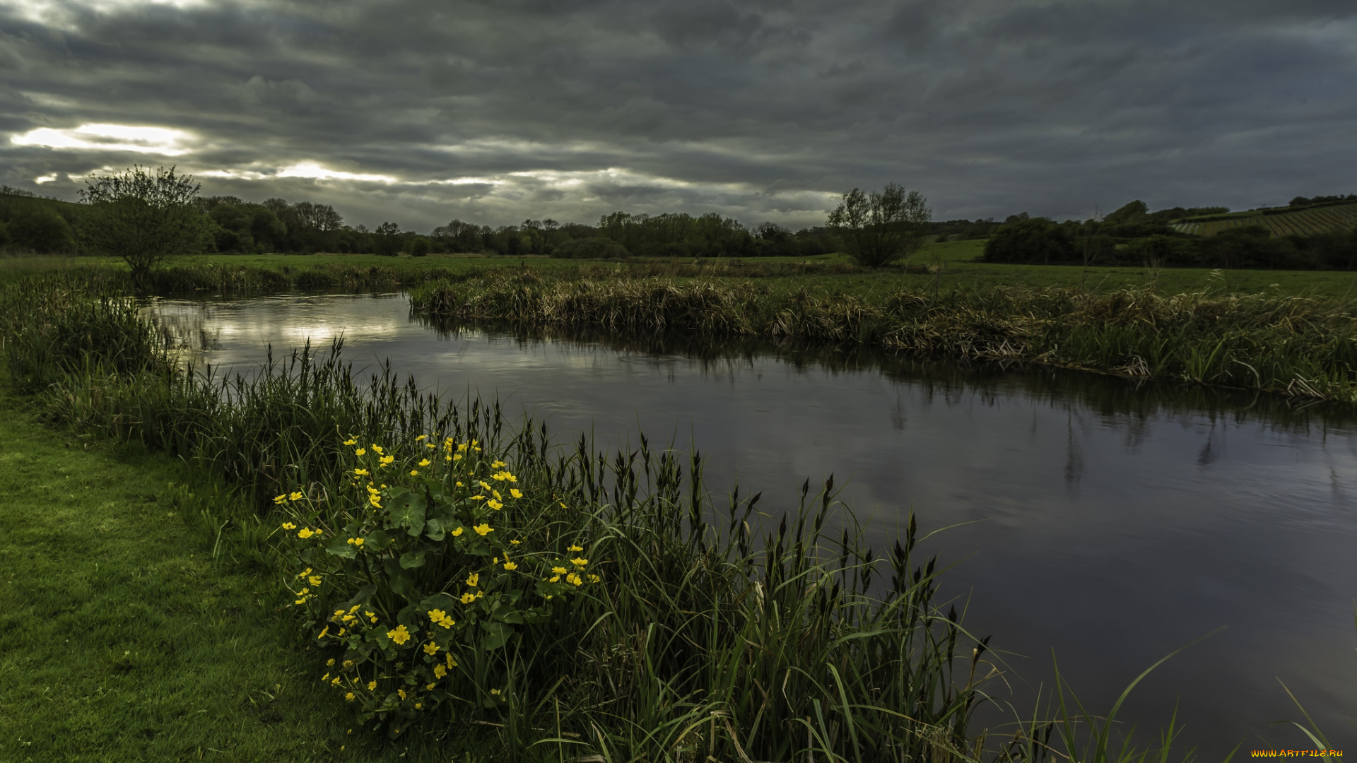 природа, реки, озера, река, лес