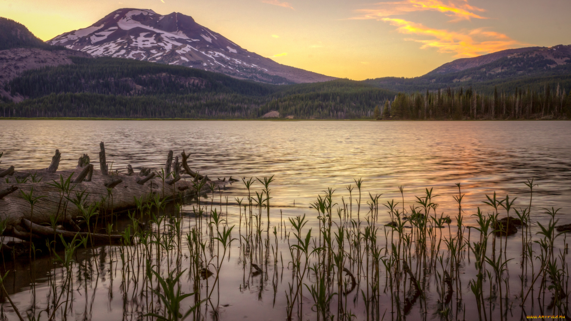 природа, реки, озера, река, лес, горы