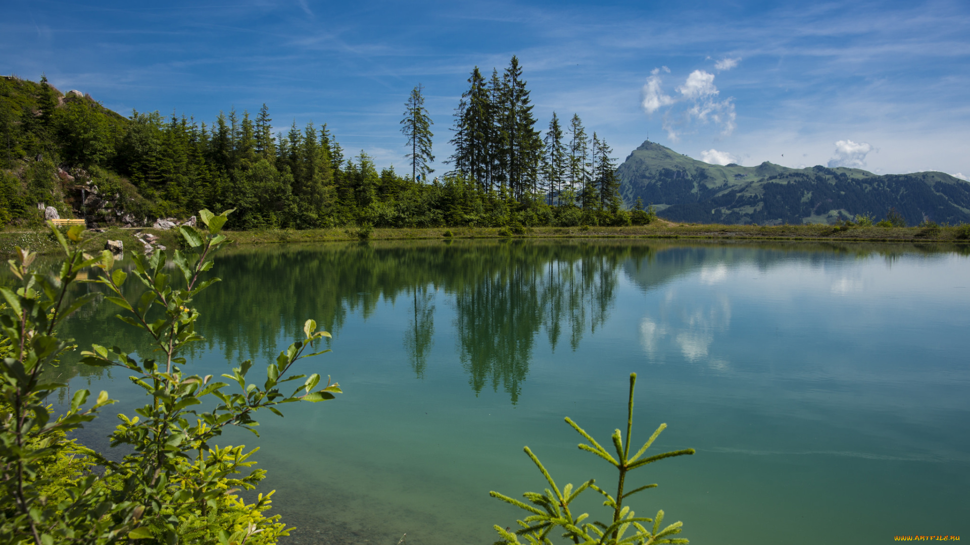 природа, реки, озера, река, лес, горы