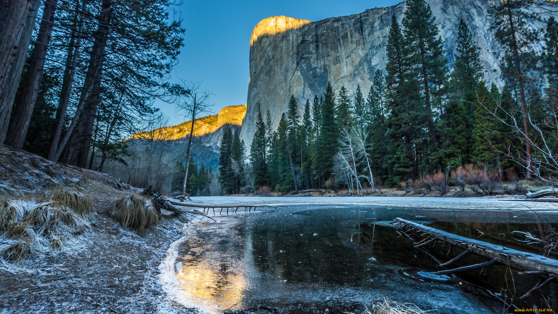 природа, реки, озера, река, лес, горы