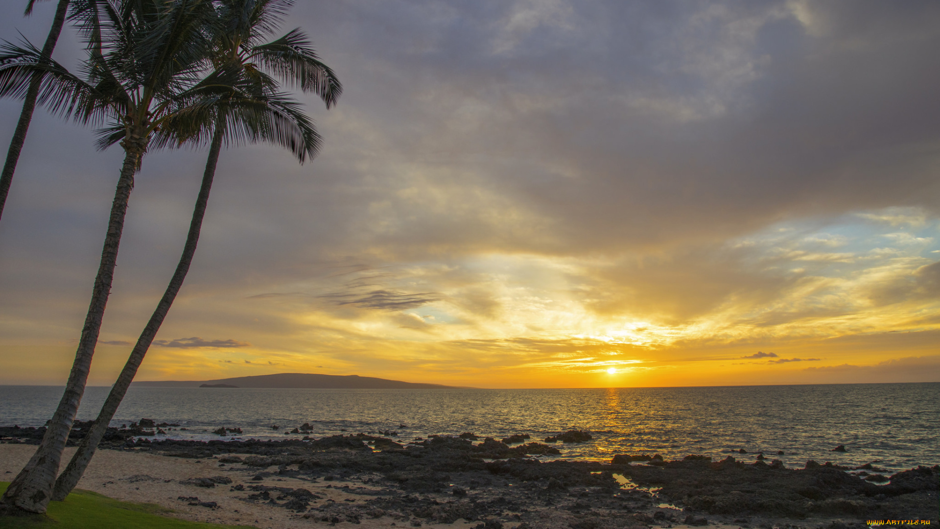 природа, тропики, рассвет
