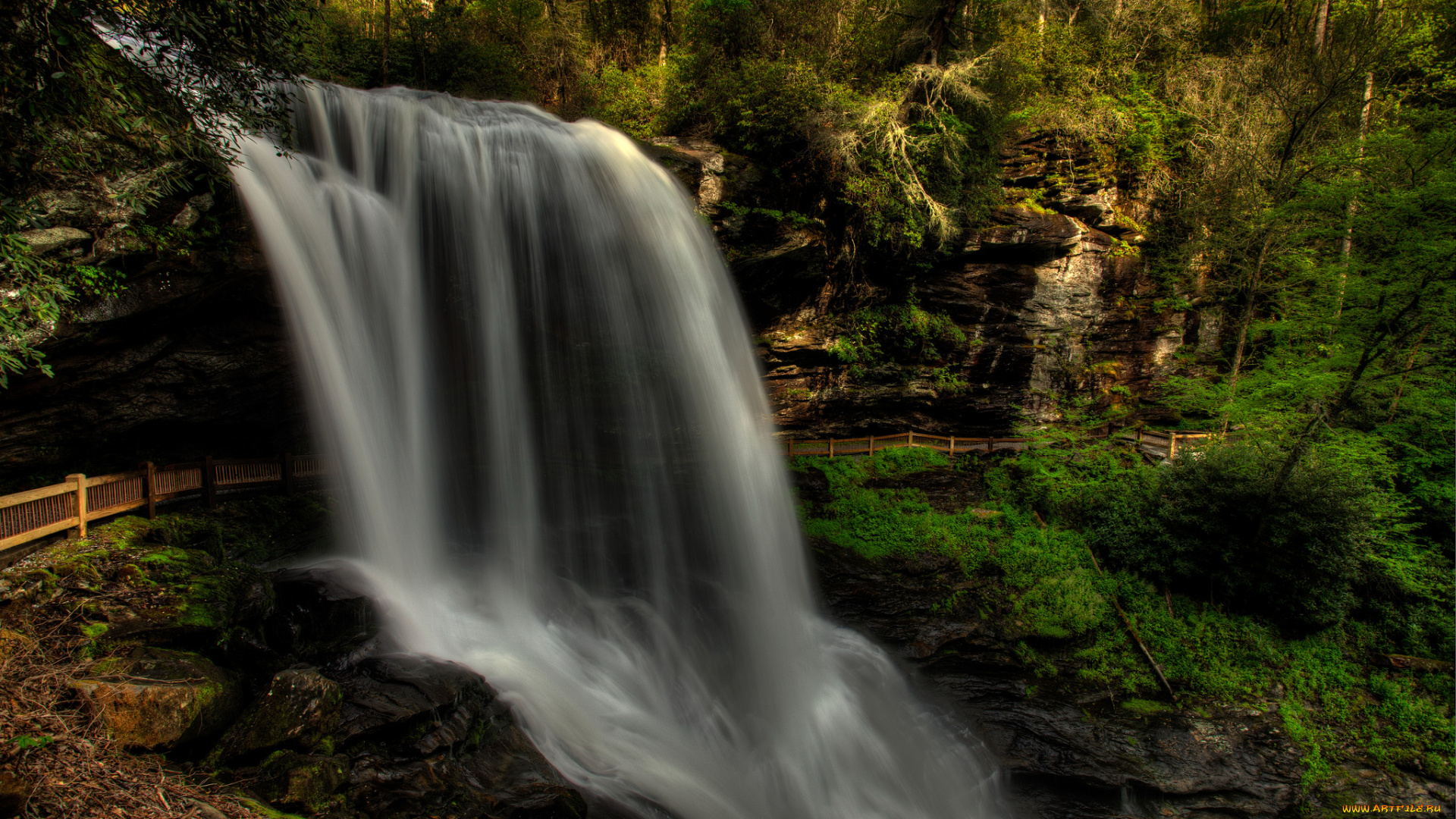 природа, водопады, лес, река, водопад