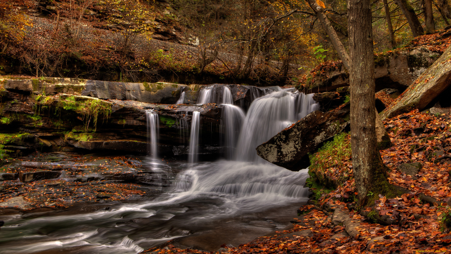 природа, водопады, лес, река, водопад