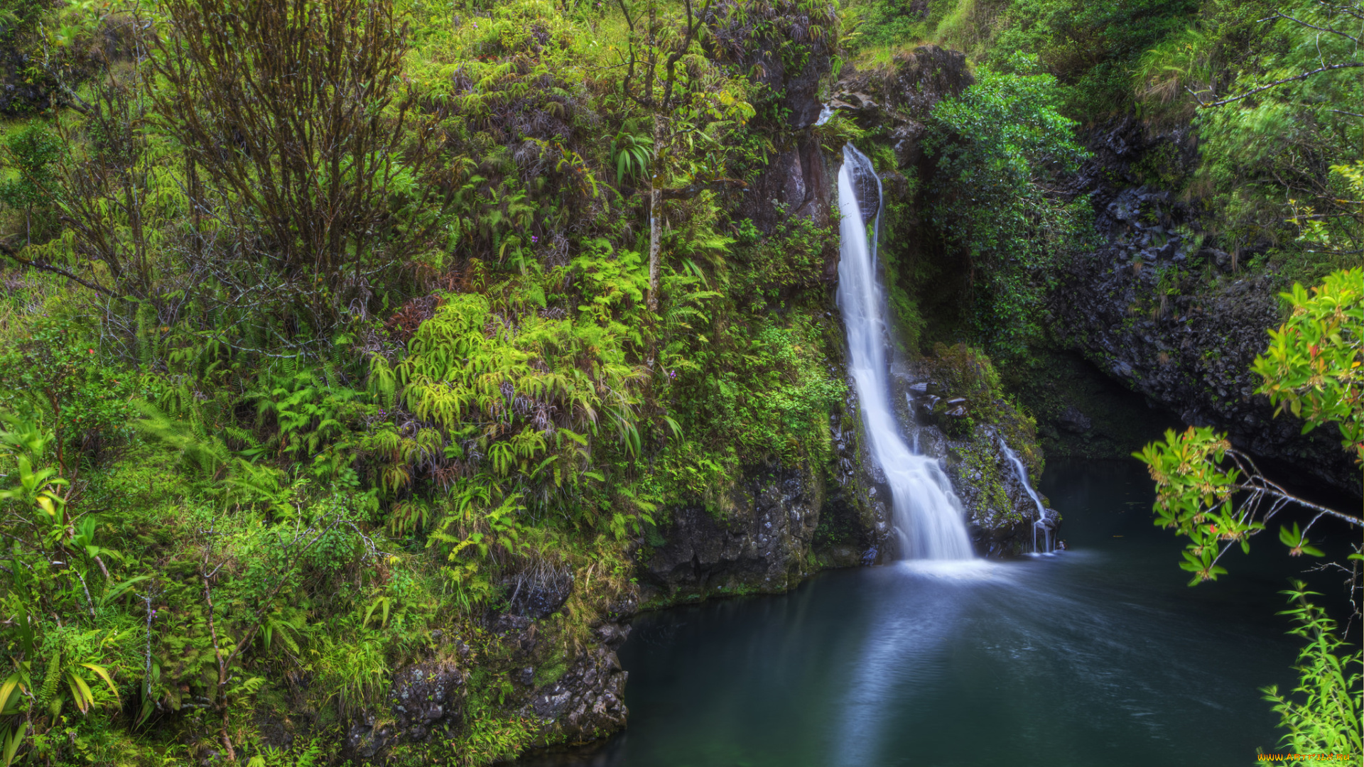 природа, водопады, водопад, река, лес