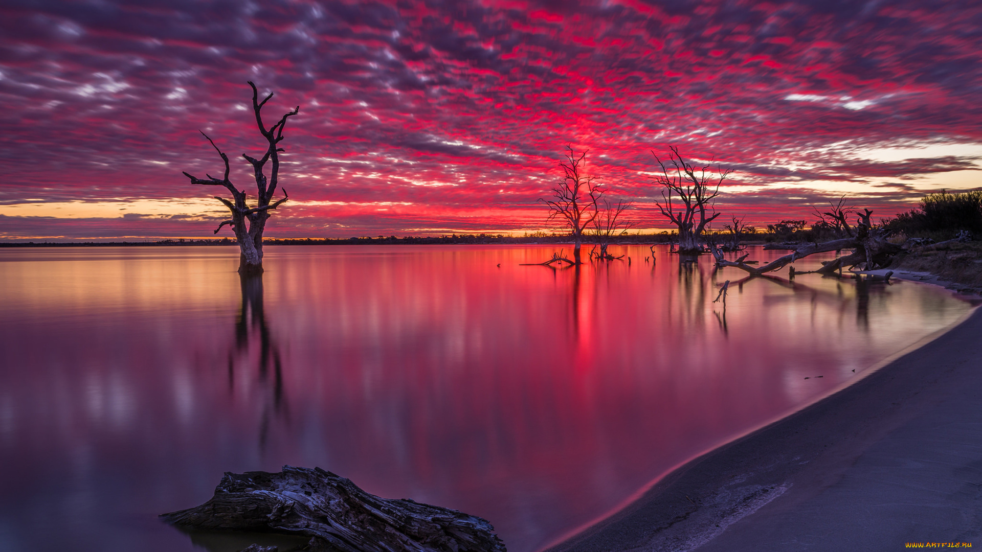 природа, восходы, закаты, деревья, озеро, ночь