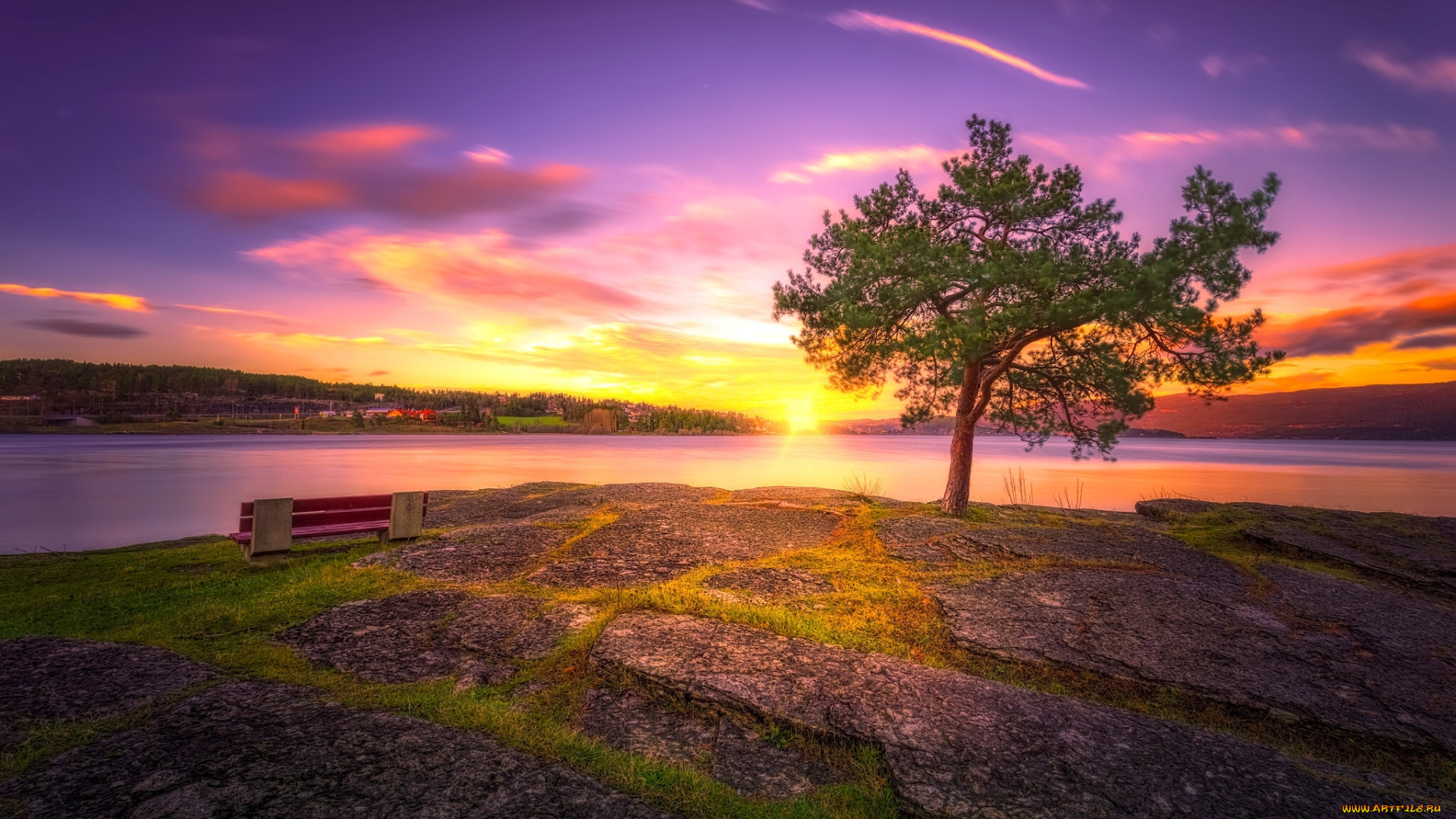 природа, восходы, закаты, озеро, закат, дерево