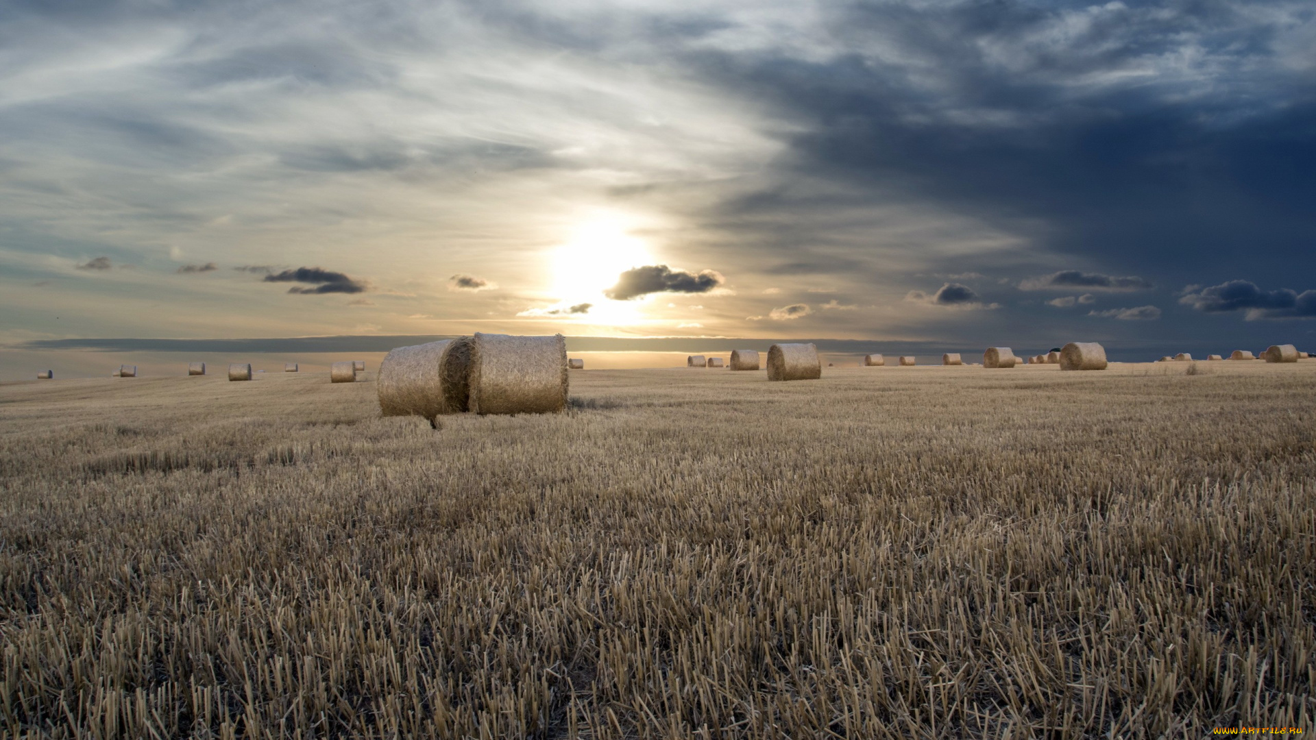 природа, восходы, закаты, сено, закат, поле, лето