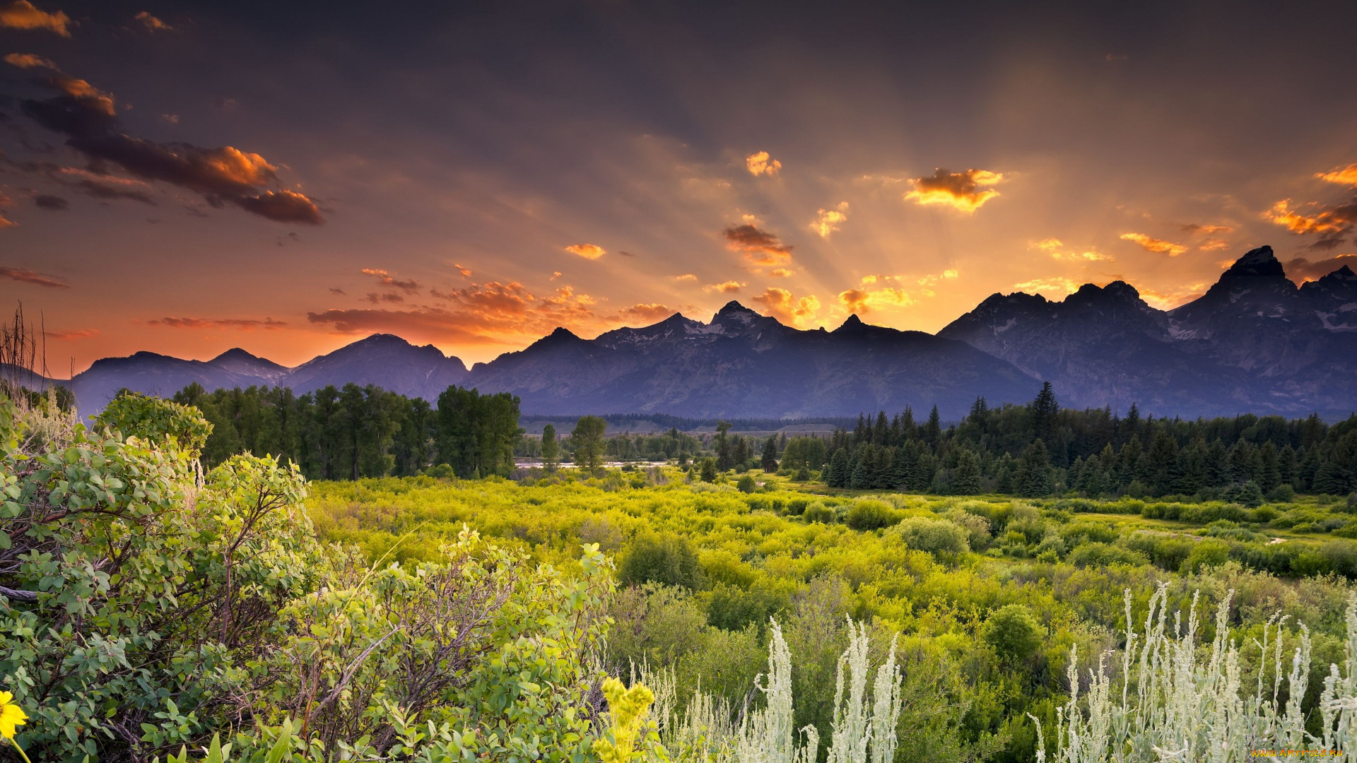 природа, восходы, закаты, закат, облака, горы, лес